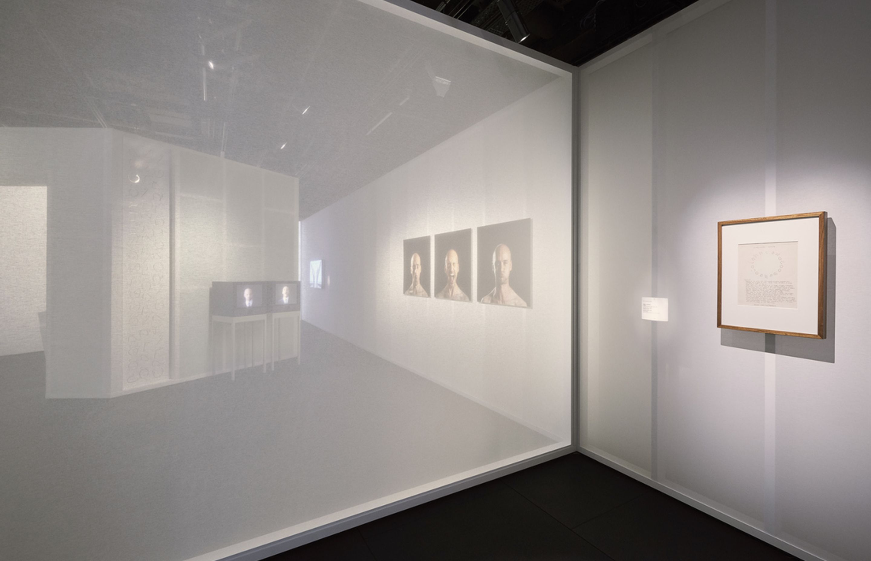 This Is A Voice | A collaboration with the Powerhouse Museum + Wellcome Trust