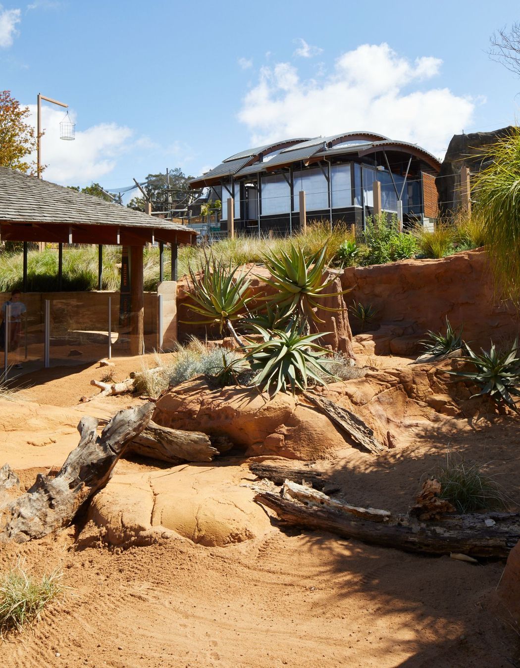Taronga Zoo African Savannah