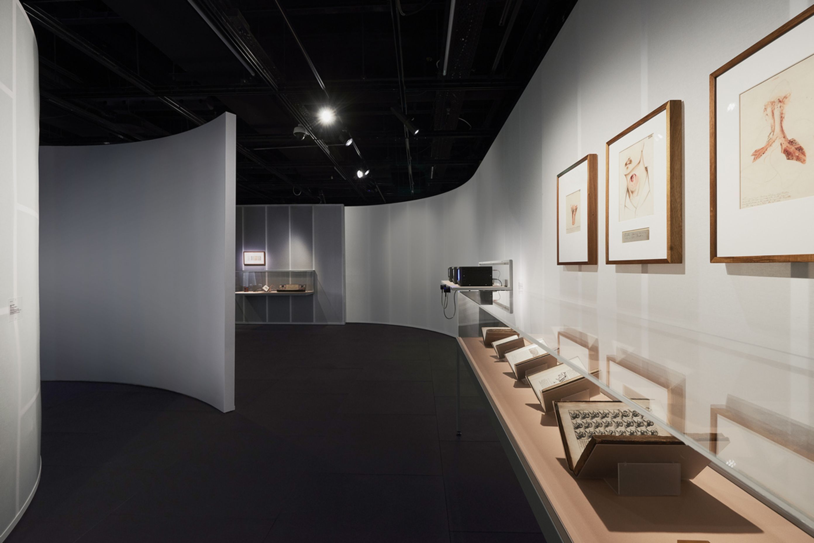 This Is A Voice | A collaboration with the Powerhouse Museum + Wellcome Trust