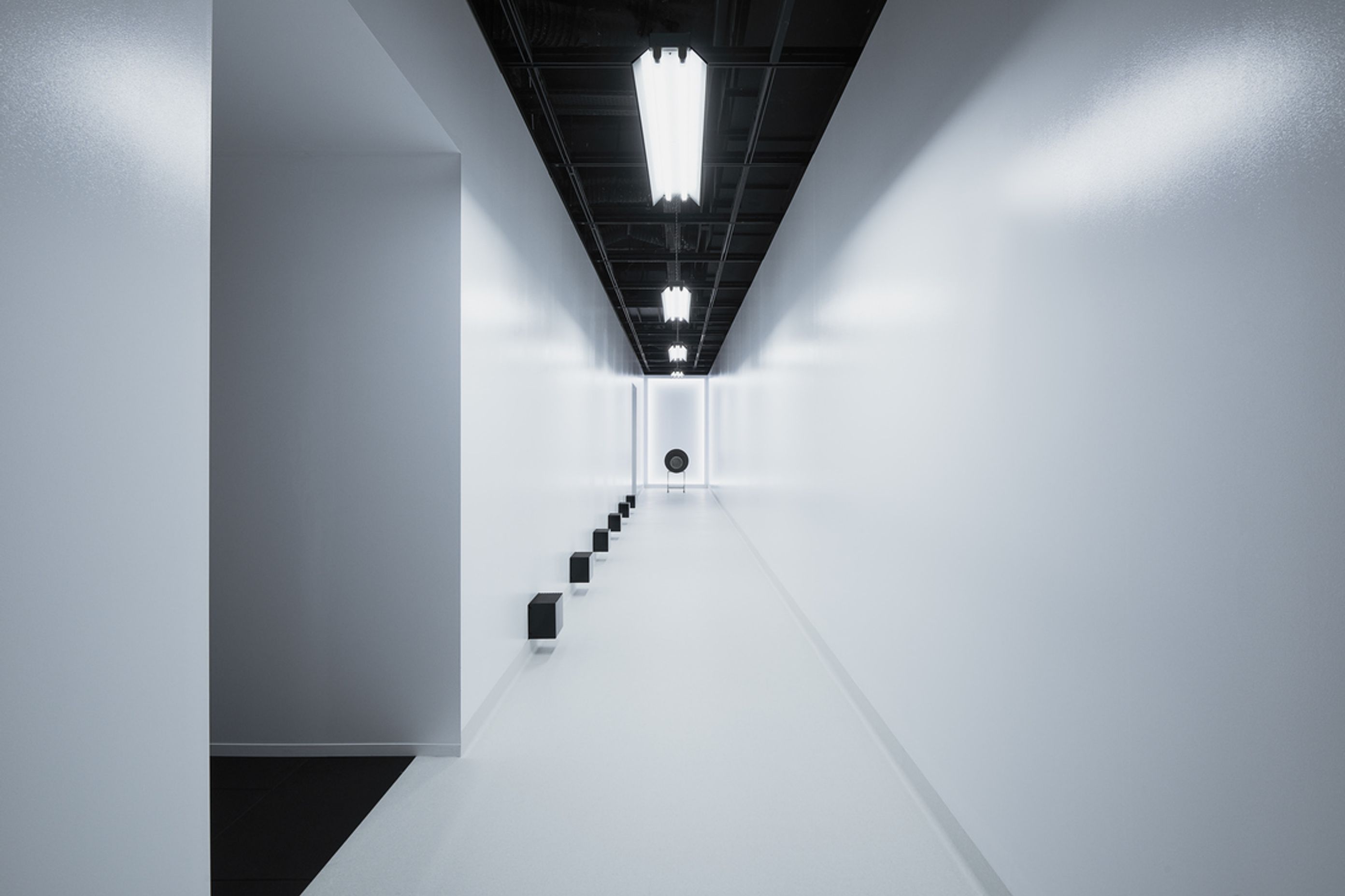 This Is A Voice | A collaboration with the Powerhouse Museum + Wellcome Trust