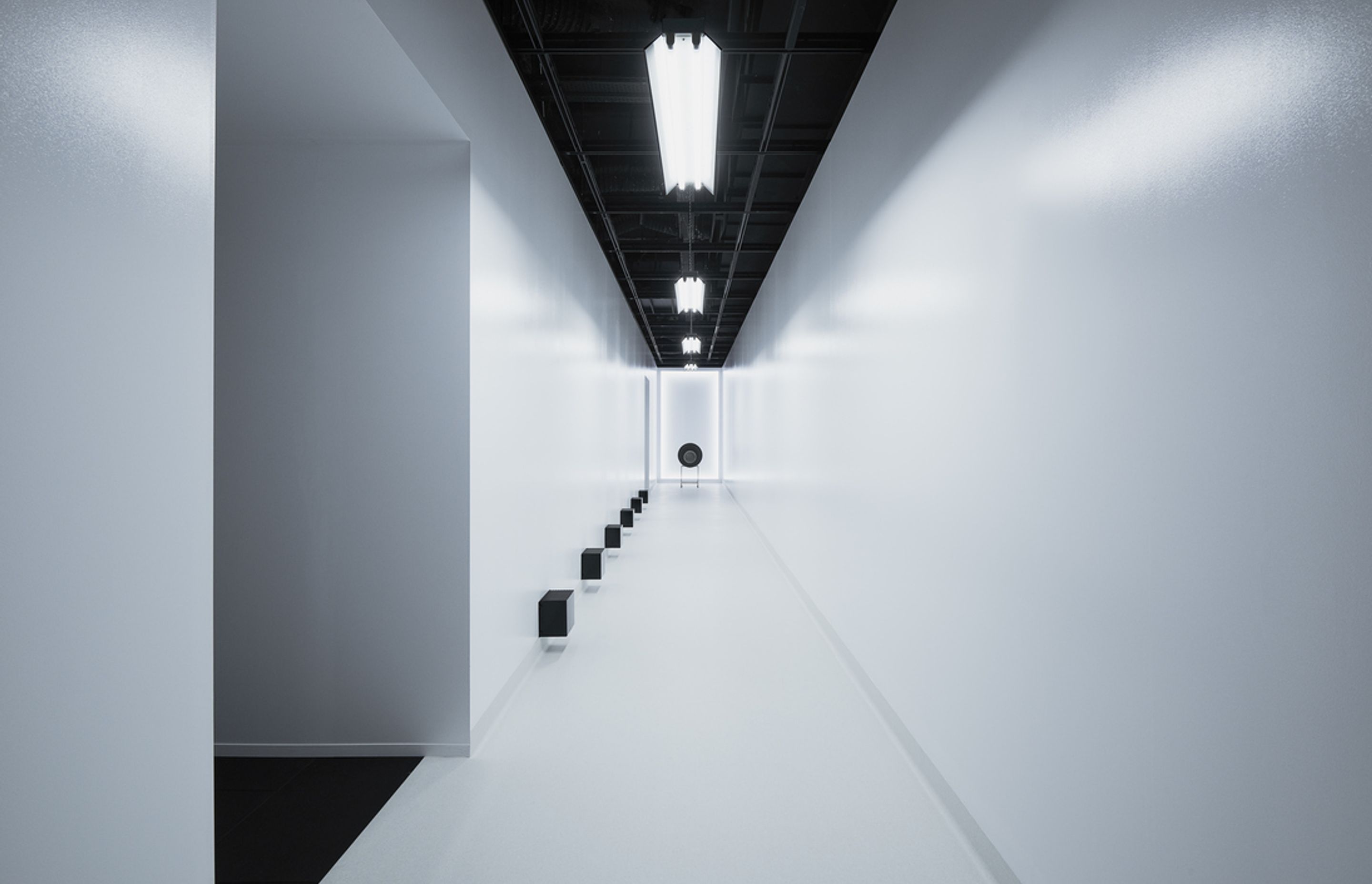 This Is A Voice | A collaboration with the Powerhouse Museum + Wellcome Trust
