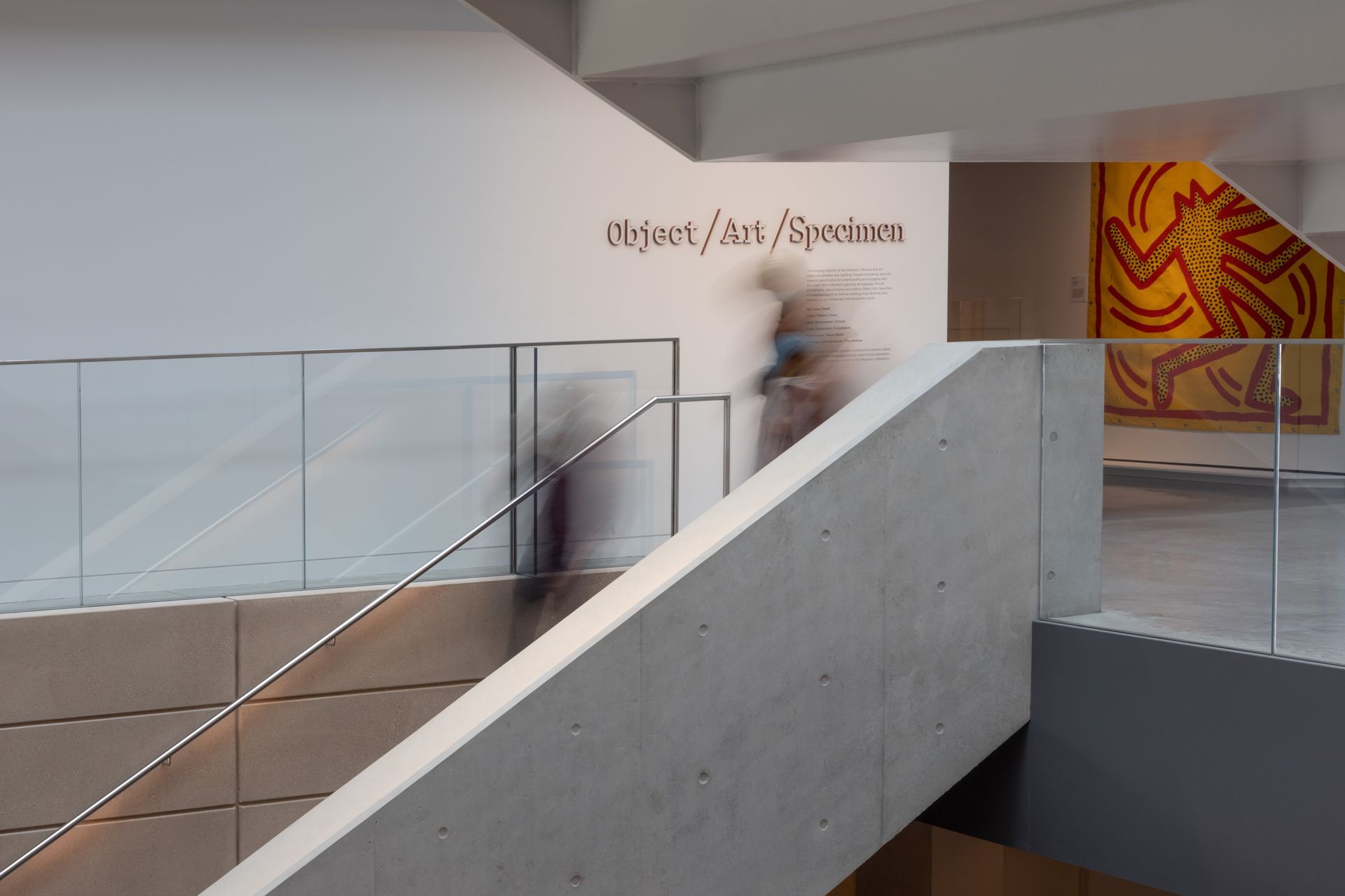 Chau Chak Wing Museum