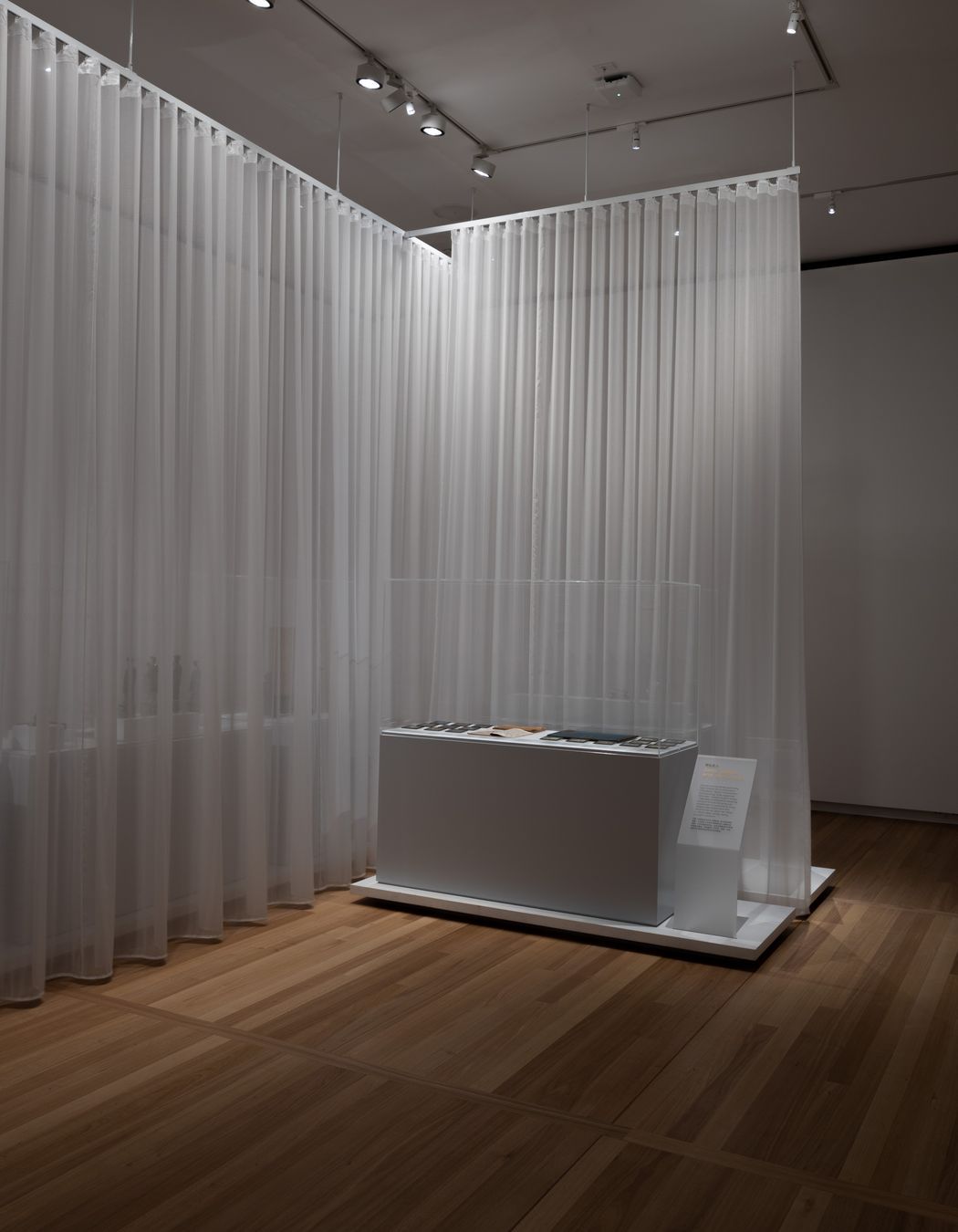 Chau Chak Wing Museum