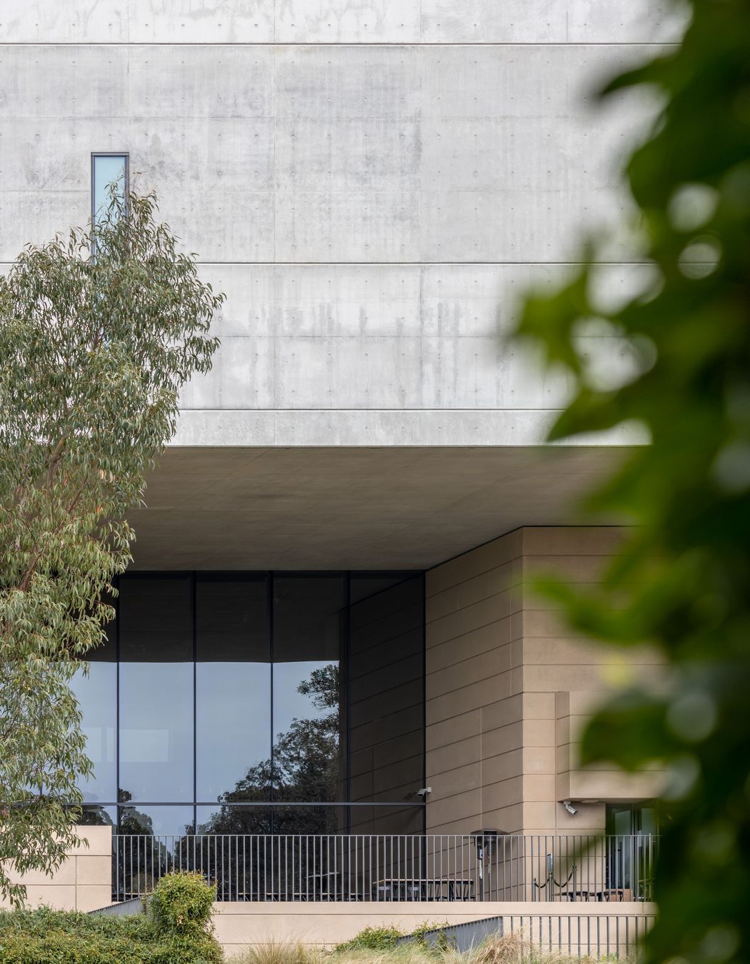 Chau Chak Wing Museum