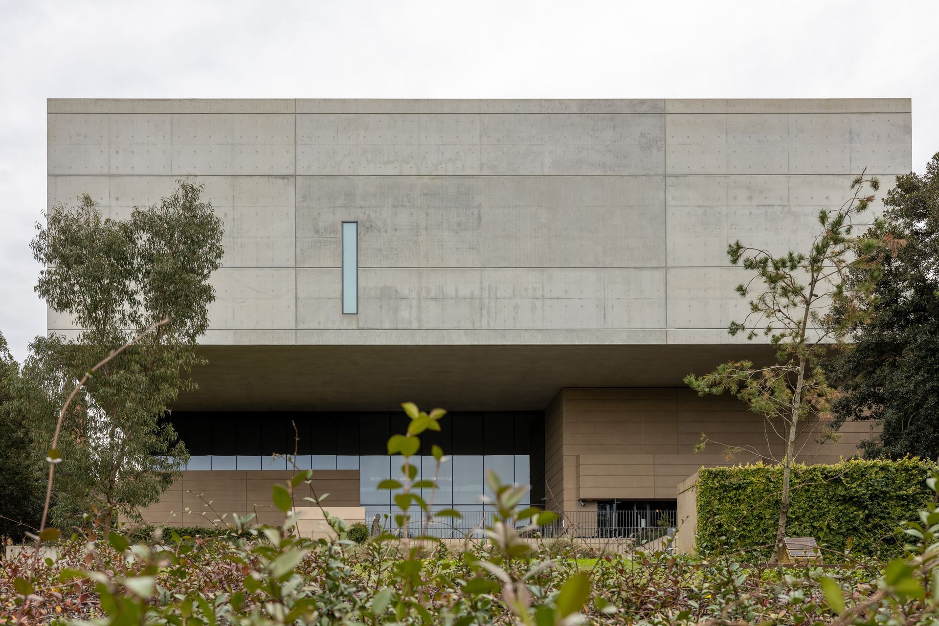 Chau Chak Wing Museum