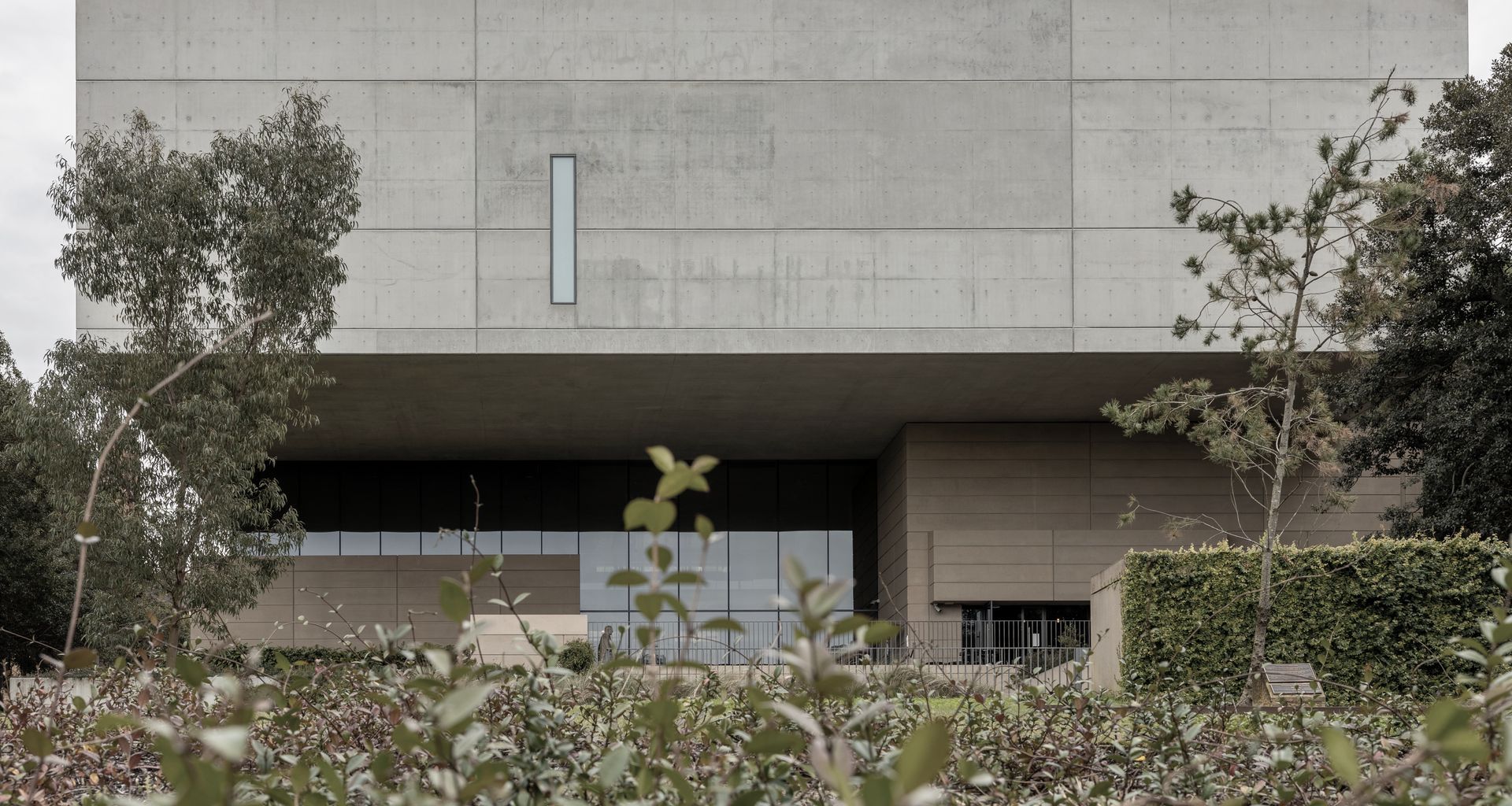 Chau Chak Wing Museum banner