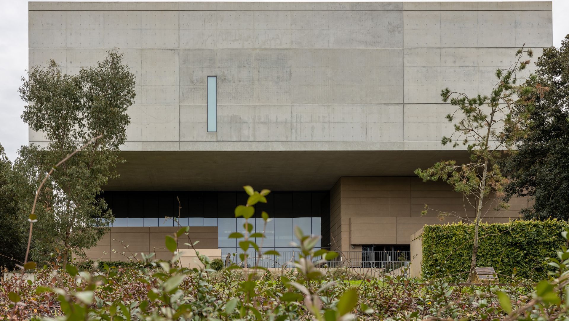 Chau Chak Wing Museum banner