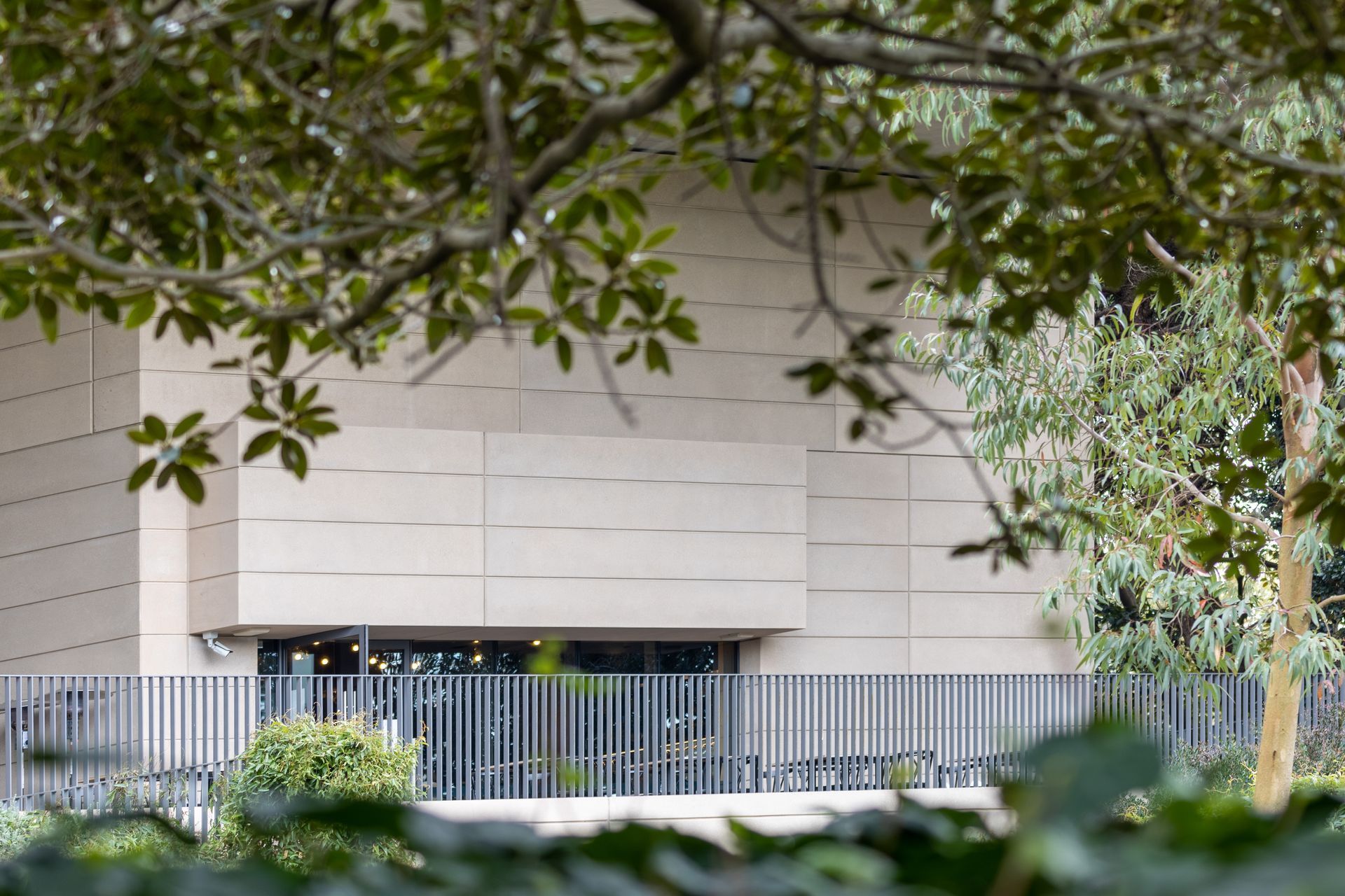 Chau Chak Wing Museum