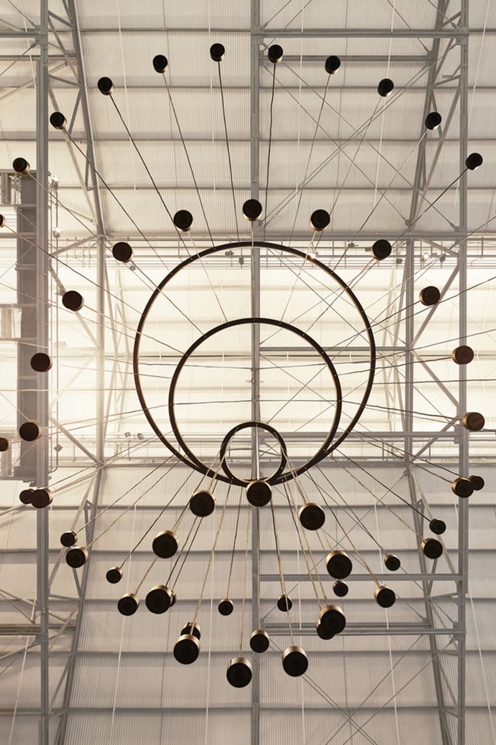 This Is A Voice | A collaboration with the Powerhouse Museum + Wellcome Trust