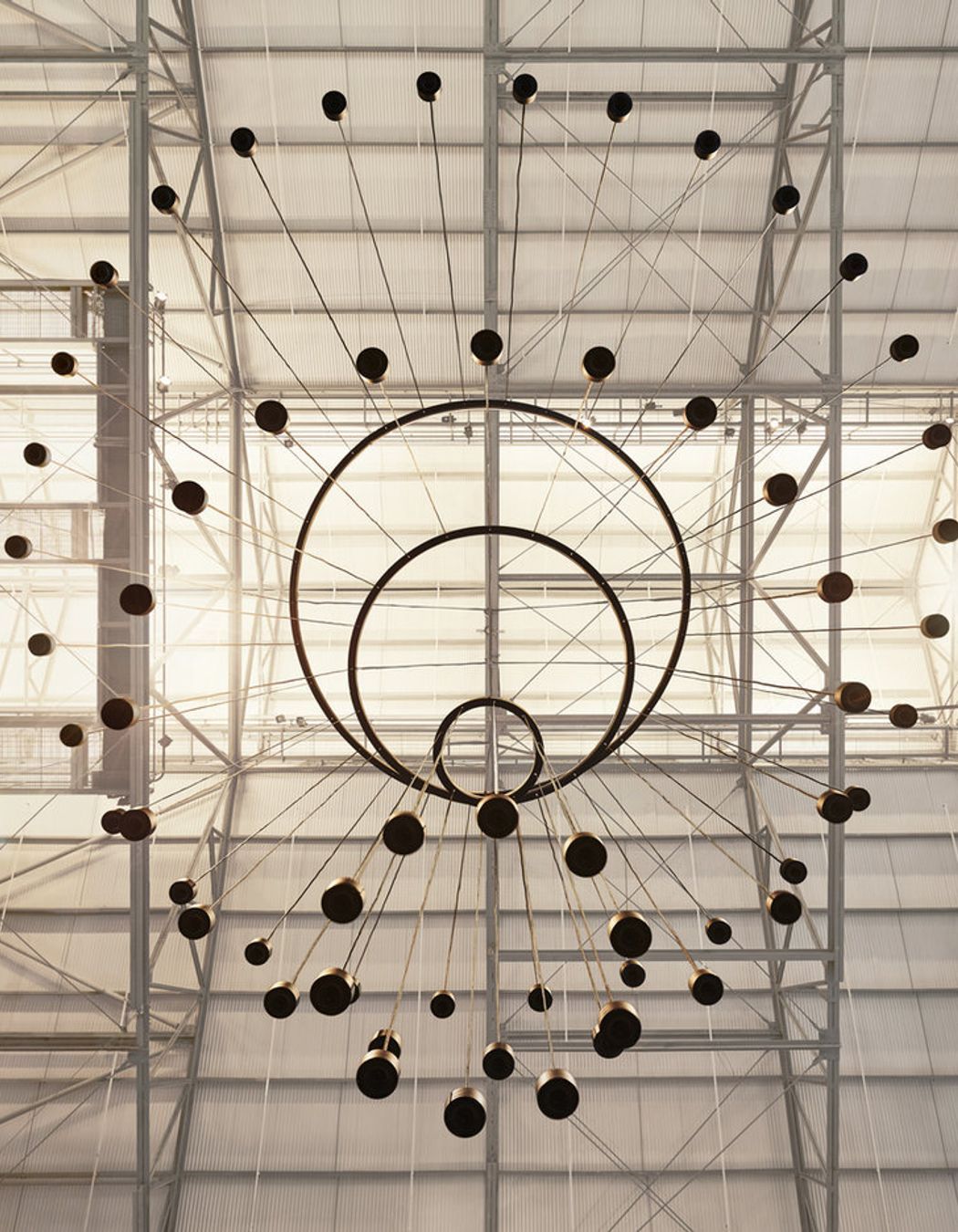 This Is A Voice | A collaboration with the Powerhouse Museum + Wellcome Trust