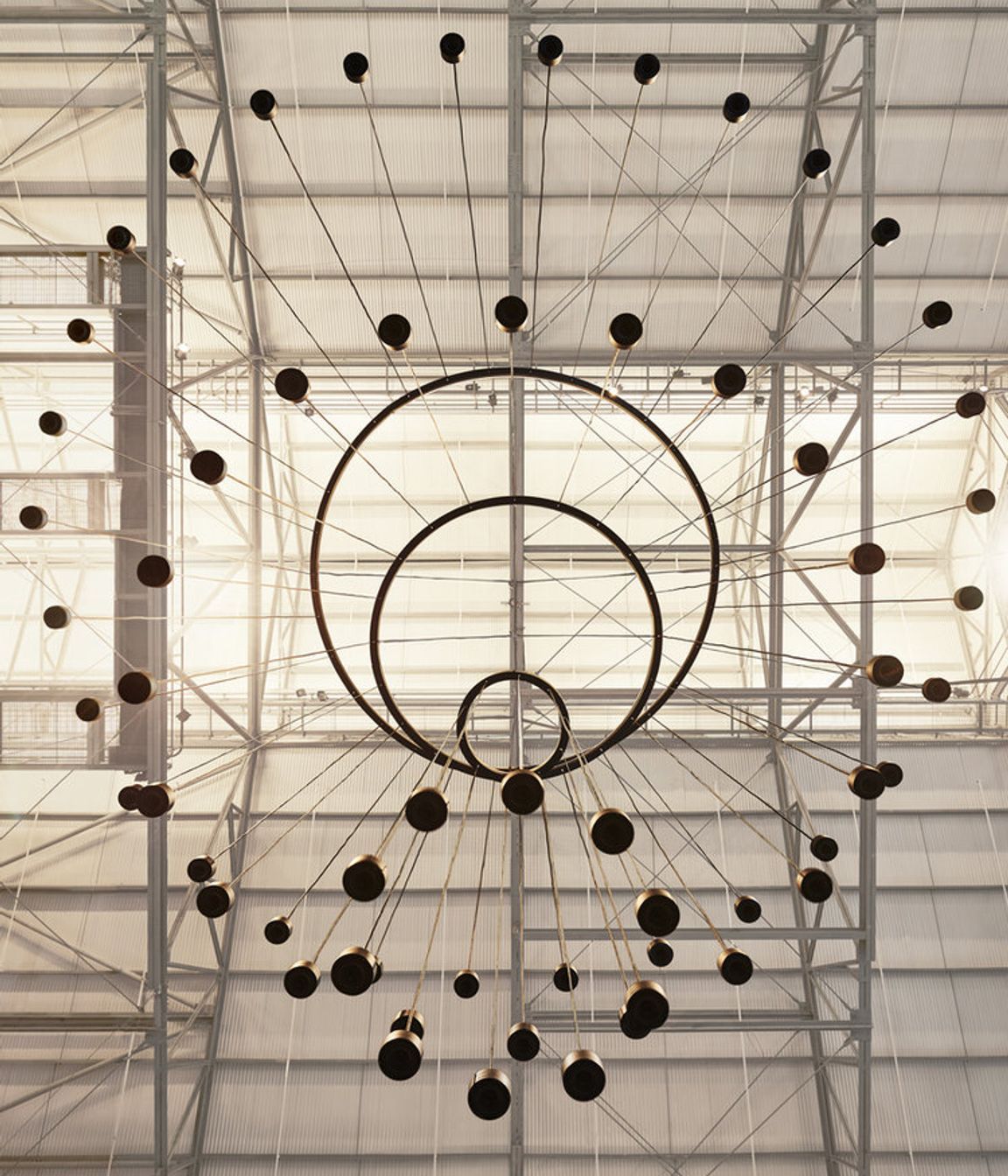 This Is A Voice | A collaboration with the Powerhouse Museum + Wellcome Trust