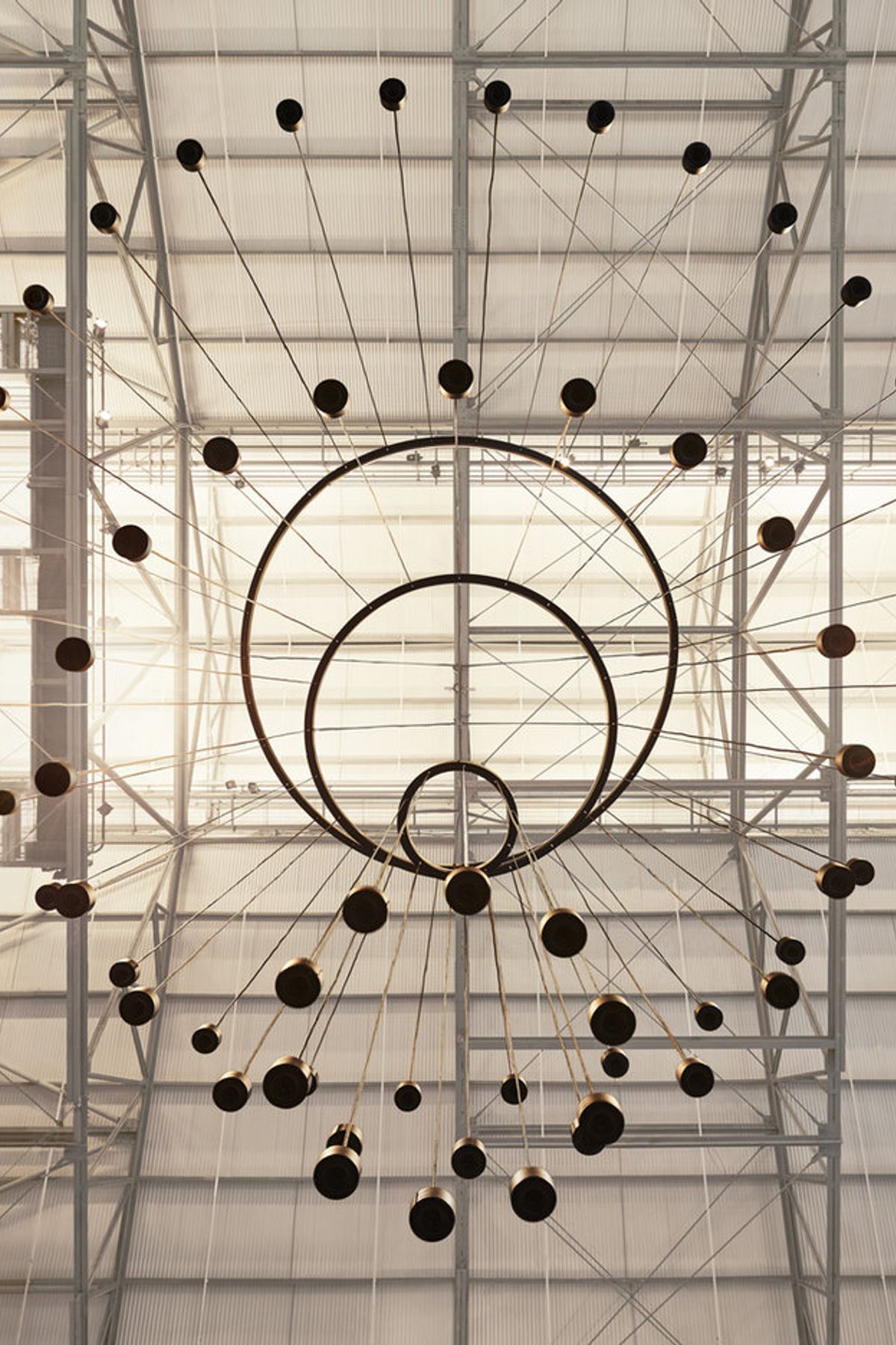 This Is A Voice | A collaboration with the Powerhouse Museum + Wellcome Trust