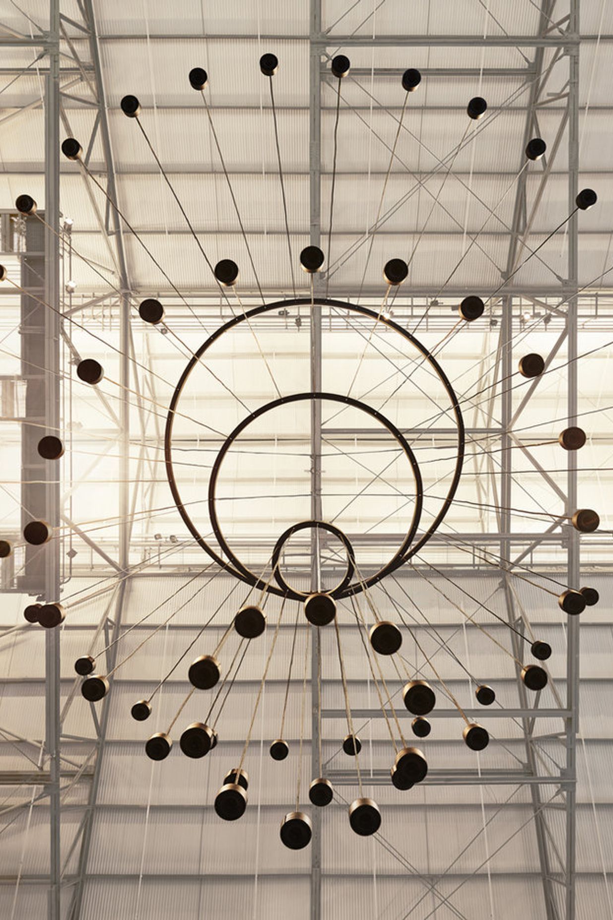 This Is A Voice | A collaboration with the Powerhouse Museum + Wellcome Trust