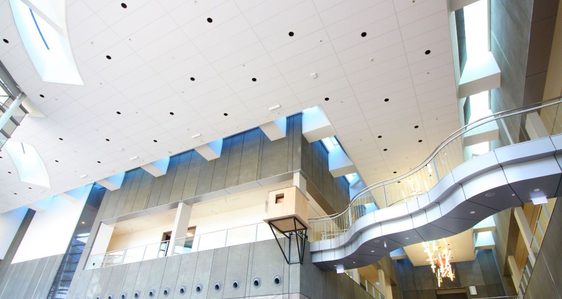 C Max at Christchurch Art Gallery banner
