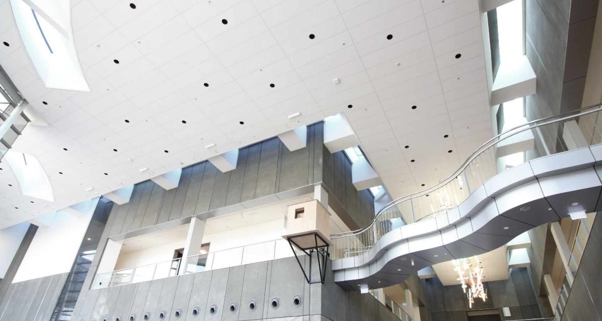 C Max at Christchurch Art Gallery banner