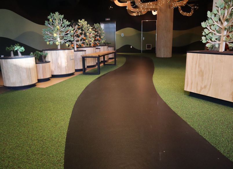 Museum, Excite - Waikato Museum