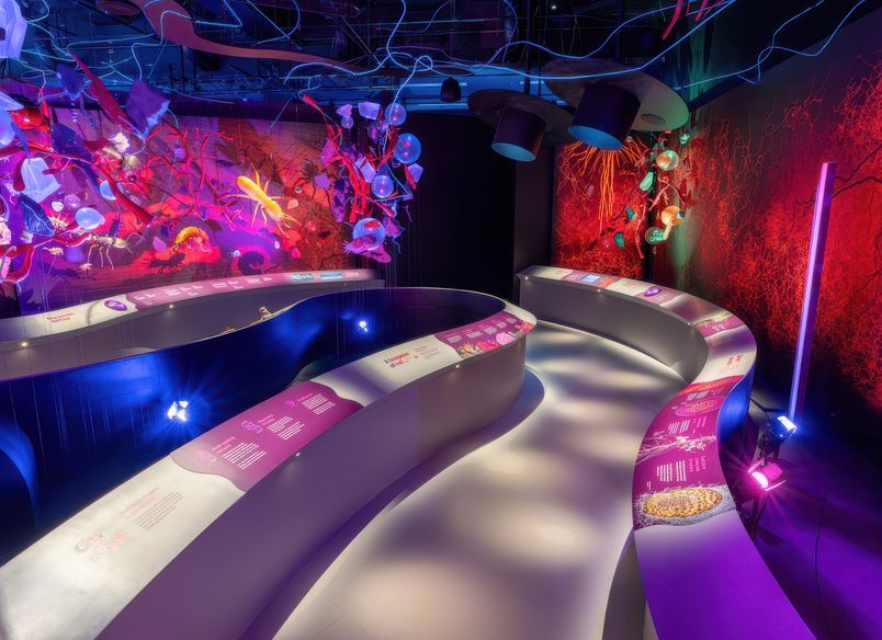 Our Wondrous Planet at Melbourne Museum