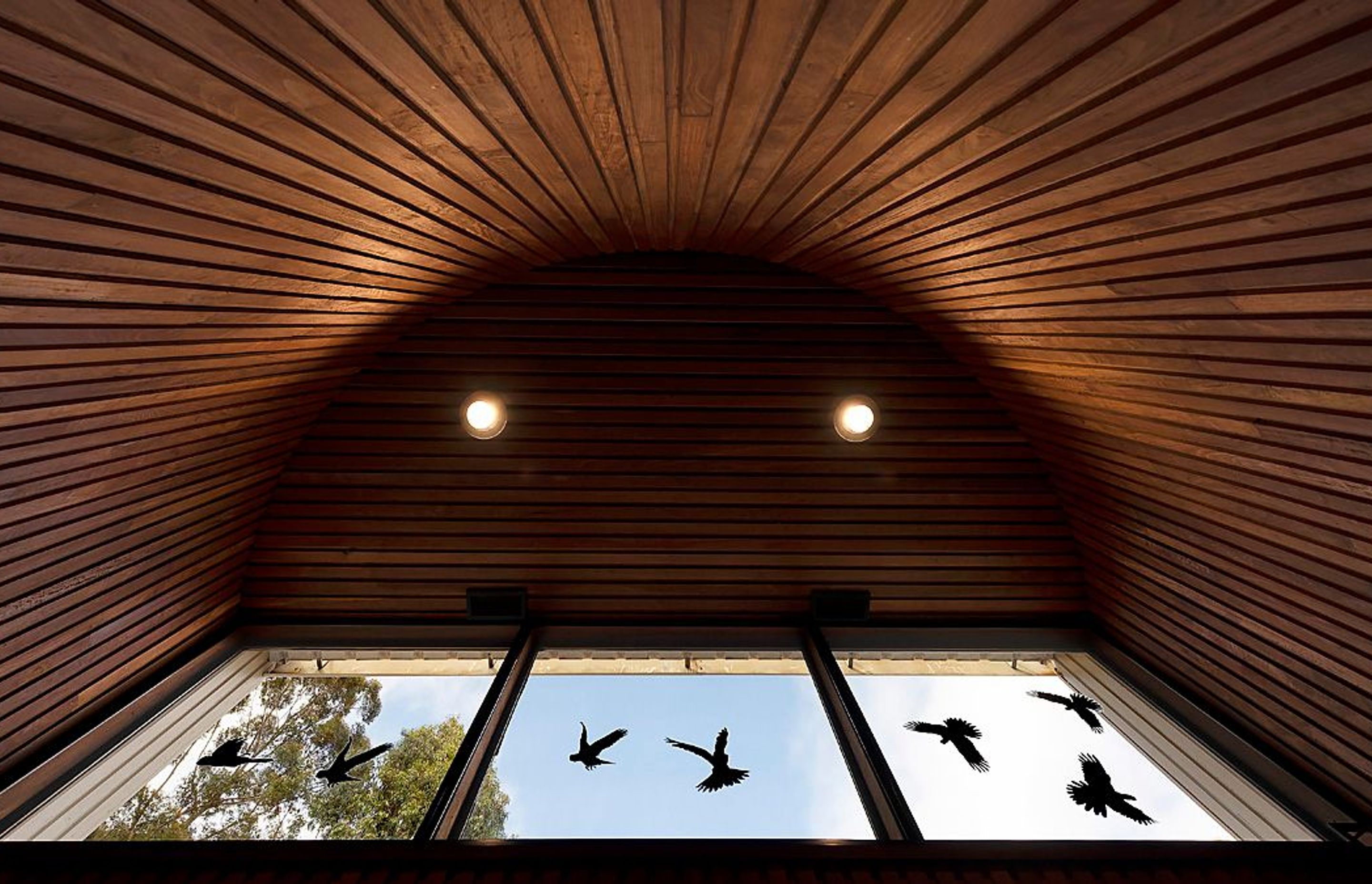 Manjimup State Timber Museum