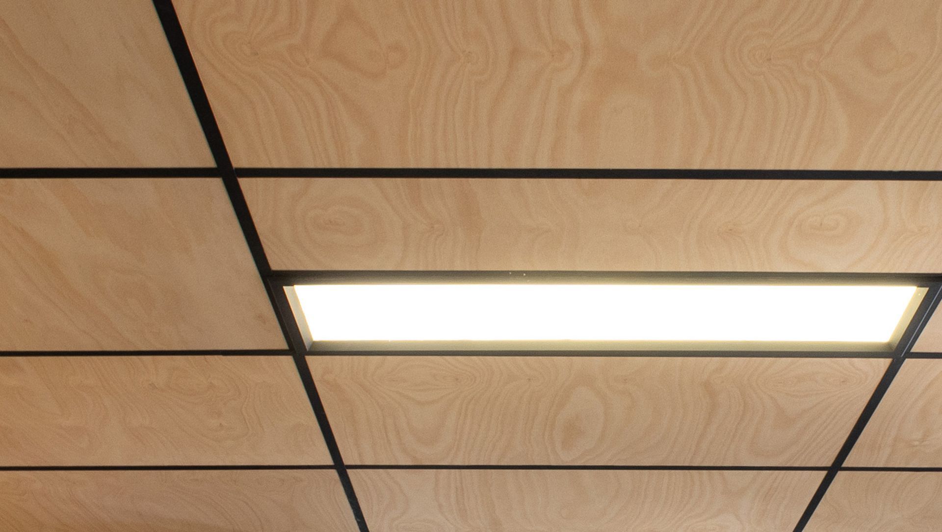 Reason: The look of timber. The acoustics of Cube™ banner