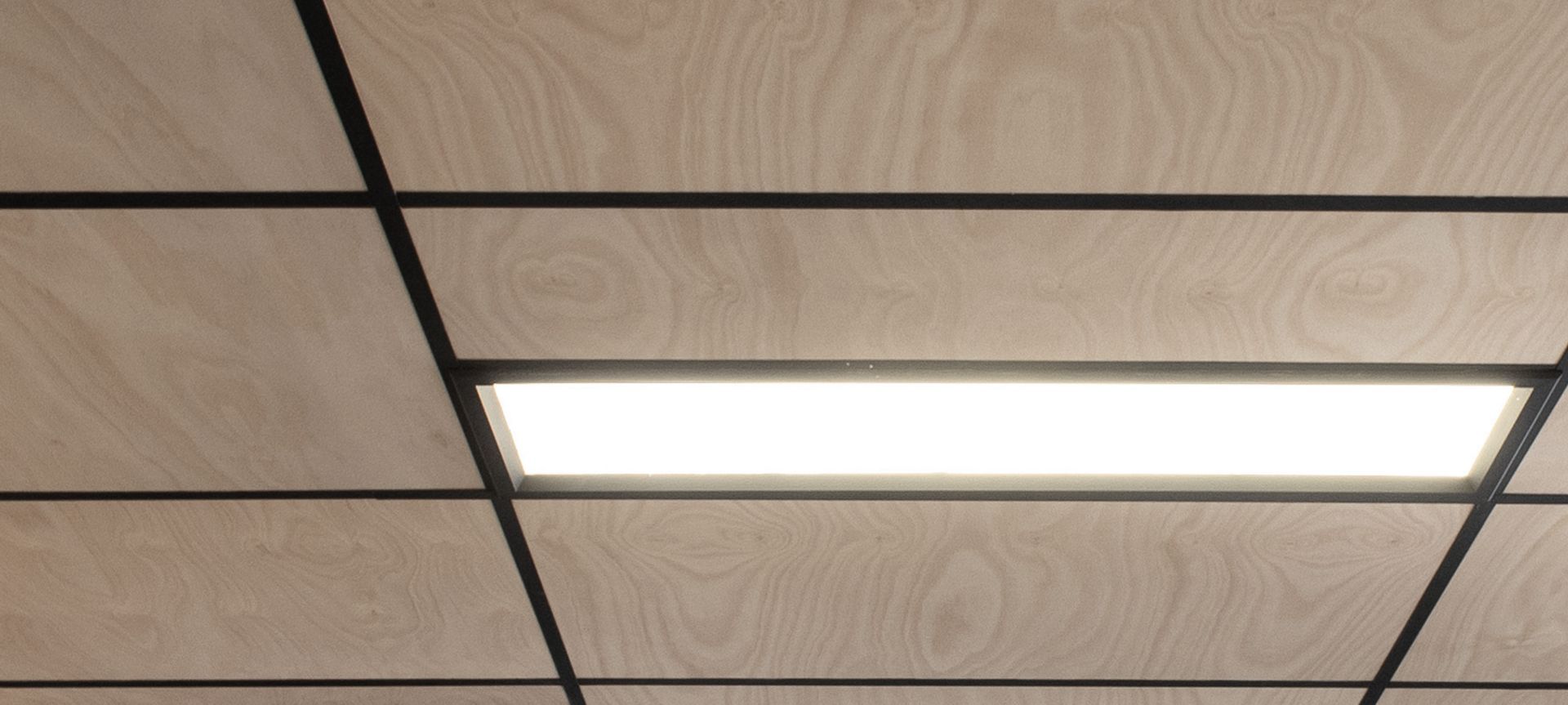 Reason: The look of timber. The acoustics of Cube™ banner
