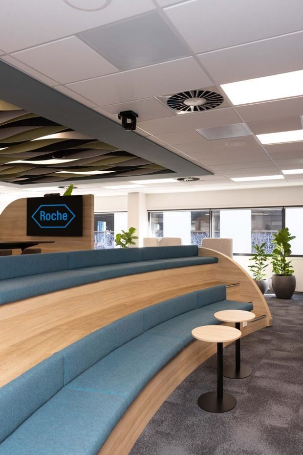 A bright contemporary commercial office reception or breakout area with tiered, curved built-in timber seating upholstered in blue fabric. Small round café tables sit beside the seating, while a Roche-branded display is mounted on a timber feature wall. Large windows, indoor plants, carpet flooring, suspended acoustic ceiling panels, recessed lighting, and a decorative wave-like ceiling installation are visible.