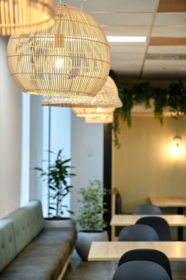 A softly lit café or restaurant interior with a row of woven rattan pendant lights, pale timber tables, dark upholstered chairs, a built-in banquette, potted plants, and a warm feature wall. Large windows bring in daylight, while hanging greenery and warm wall lighting create an inviting atmosphere. A suspended ceiling and visible ductwork suggest a commercial fit-out.