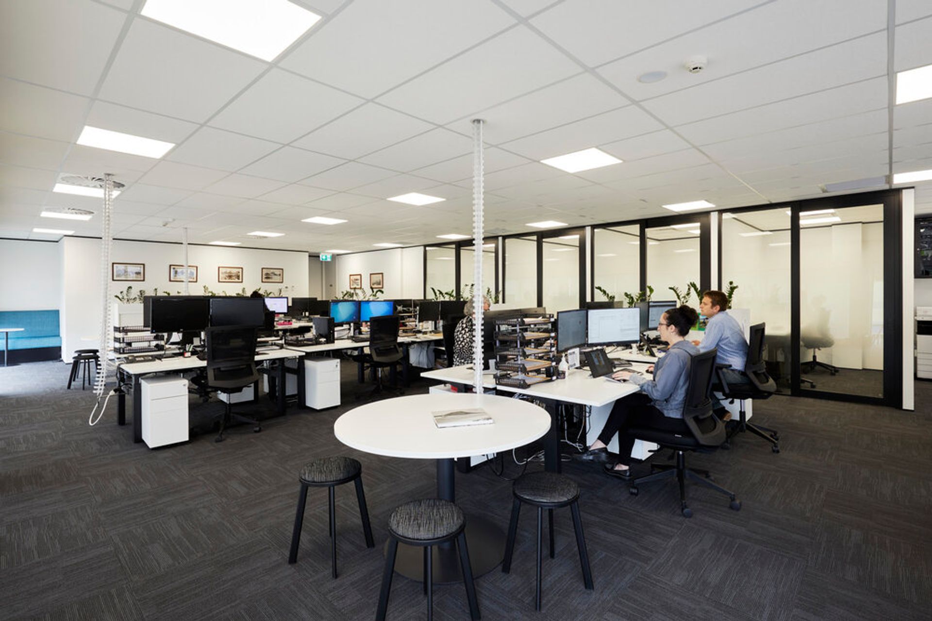 Preston Rowe Paterson