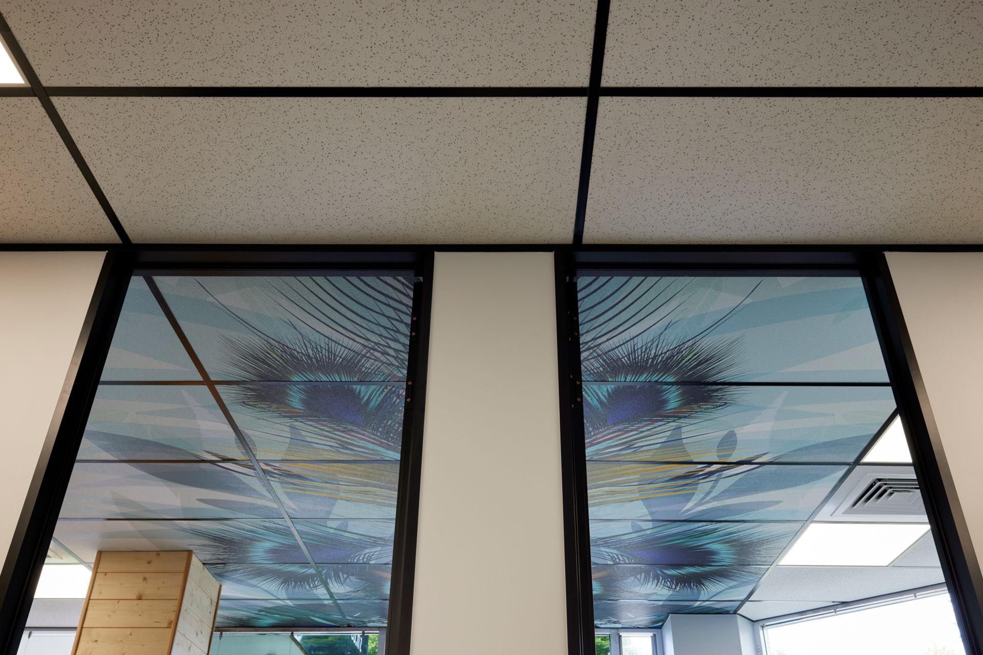 Tremains Real Estate Tauranga