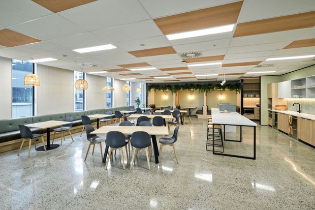 A spacious contemporary commercial-style communal dining and kitchen area with polished concrete or terrazzo flooring, extensive café-style seating, a long island with stools, and a built-in kitchenette. The space has a suspended acoustic ceiling with alternating white and timber-look panels, large windows, pendant lighting, pale timber cabinetry, and greenery along the rear wall.