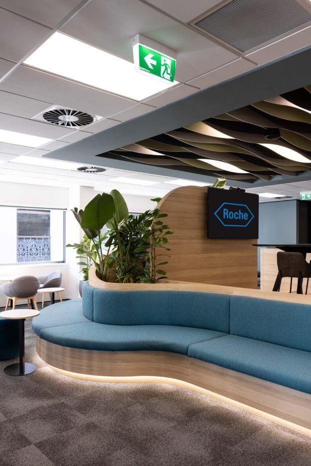 Contemporary commercial reception or waiting area with a large curved blue upholstered banquette integrated into a light timber base, softly illuminated beneath. A planted divider, reception counter, Roche sign, lounge chairs, and small tables sit within a bright office interior. The ceiling combines suspended acoustic wave panels with a white modular grid ceiling, recessed lighting, ventilation grilles, and emergency exit signage.