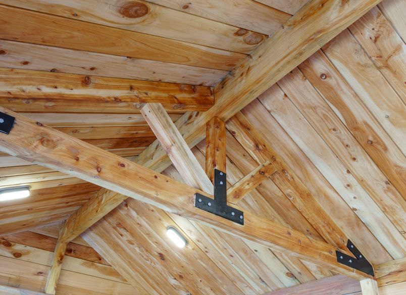 Cabin Build