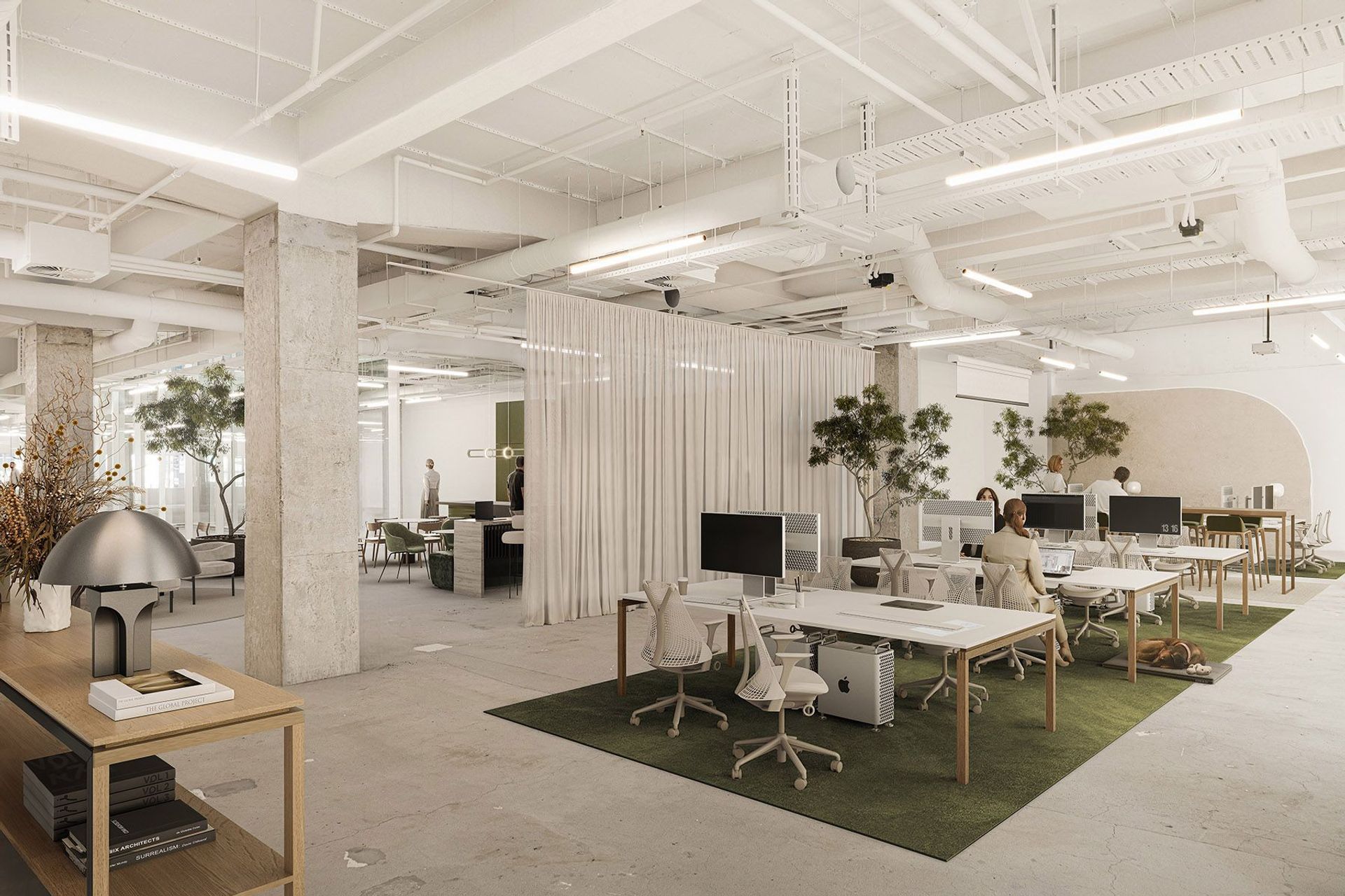 246QueenIntWorkspaceFinal01.jpg