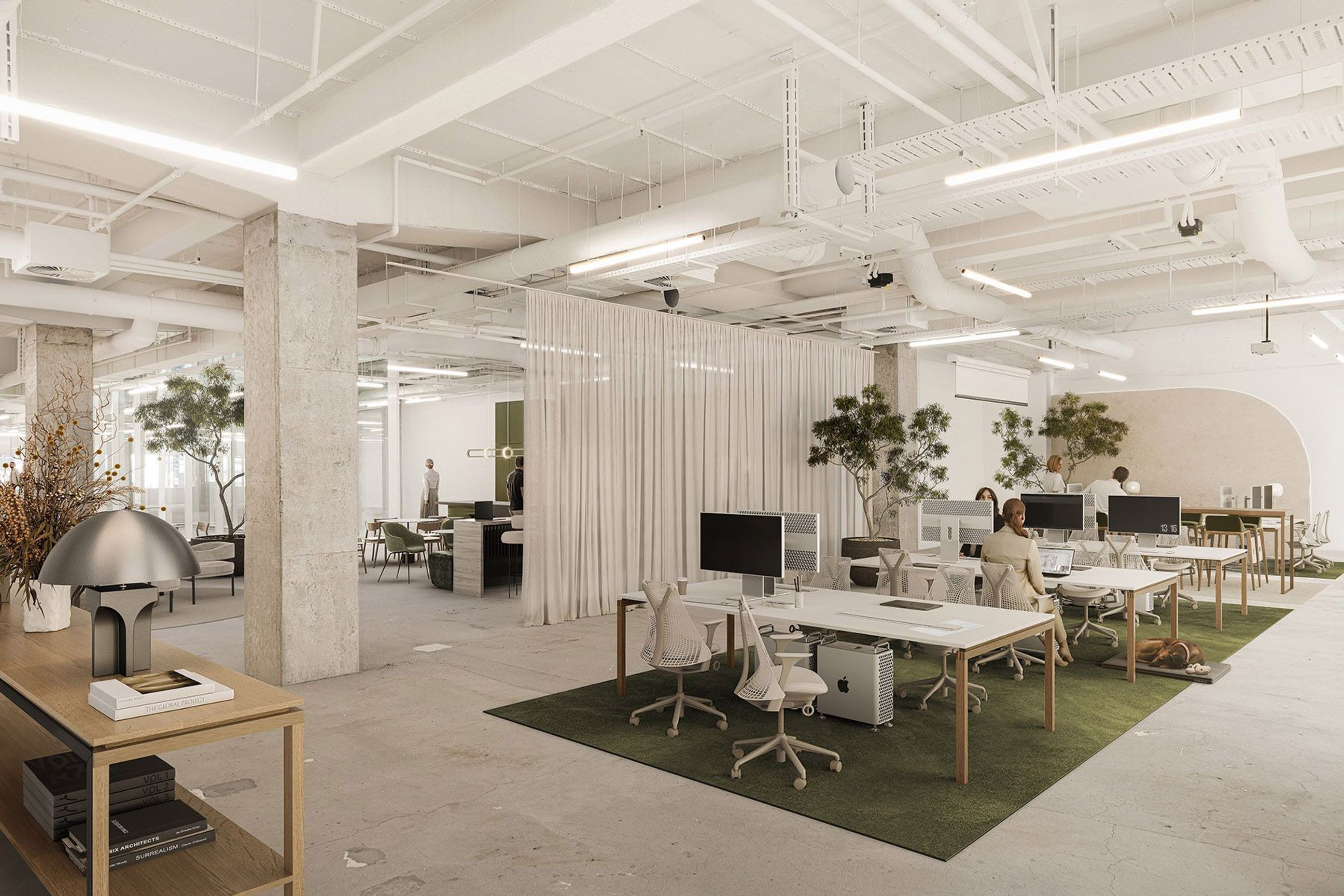 246QueenIntWorkspaceFinal01.jpg