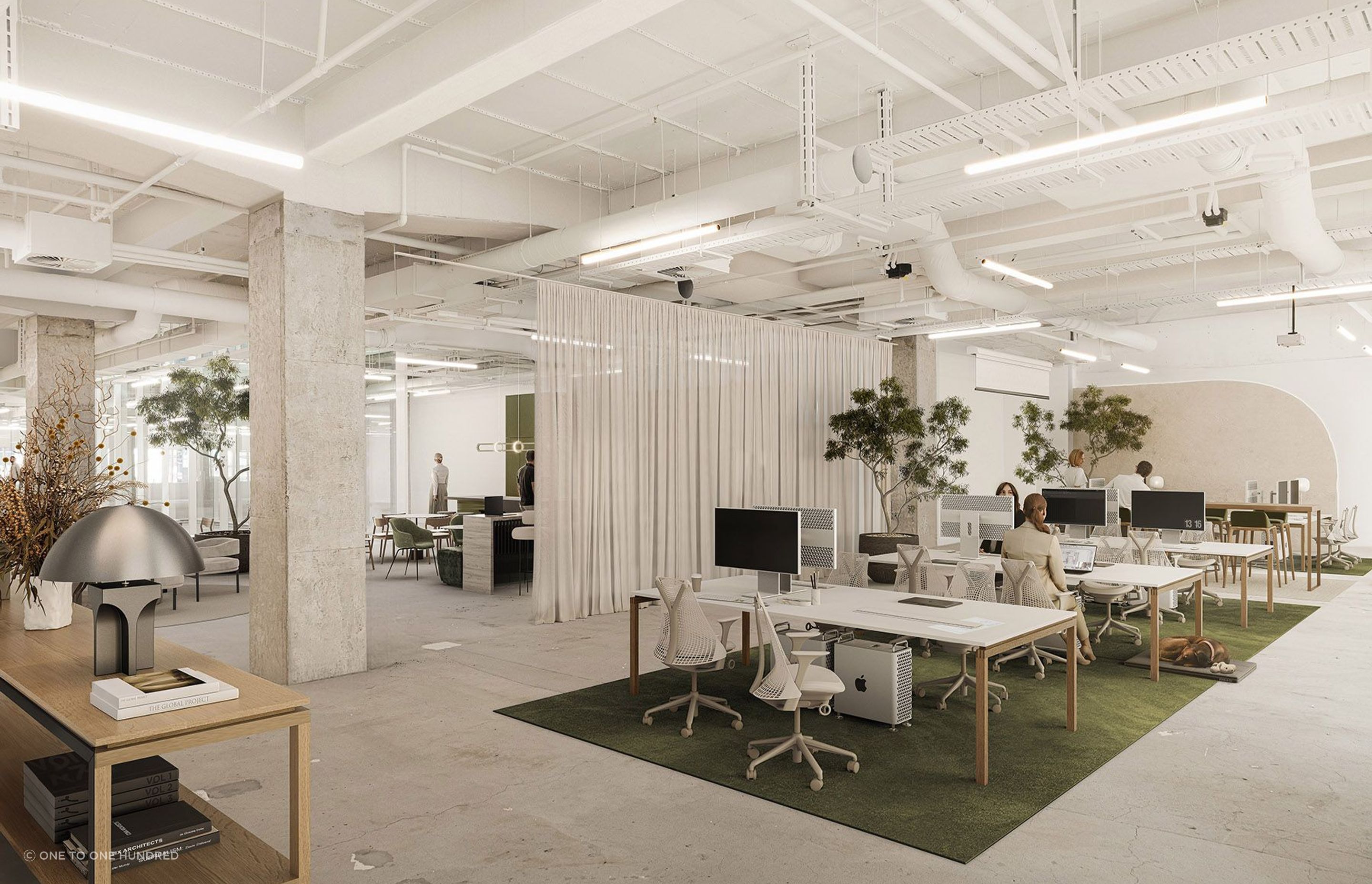 246QueenIntWorkspaceFinal01.jpg
