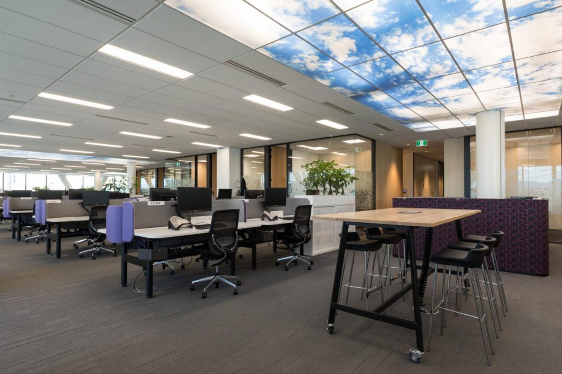 Deloitte, Wellington