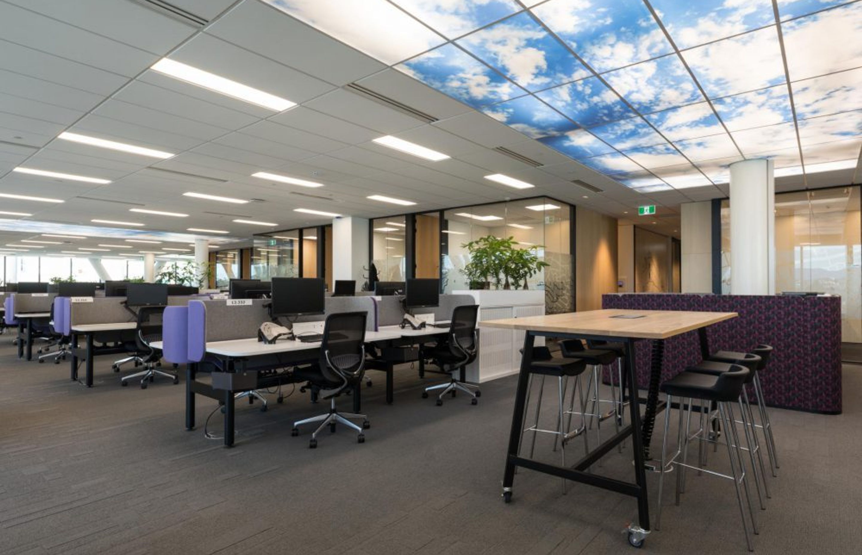 Deloitte, Wellington