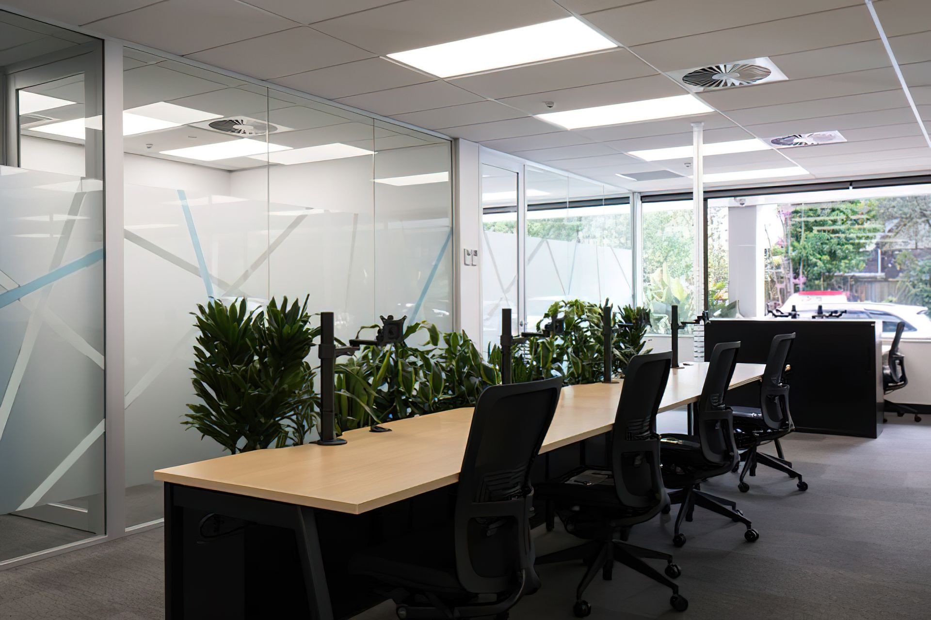 Oxford Finance, Auckland