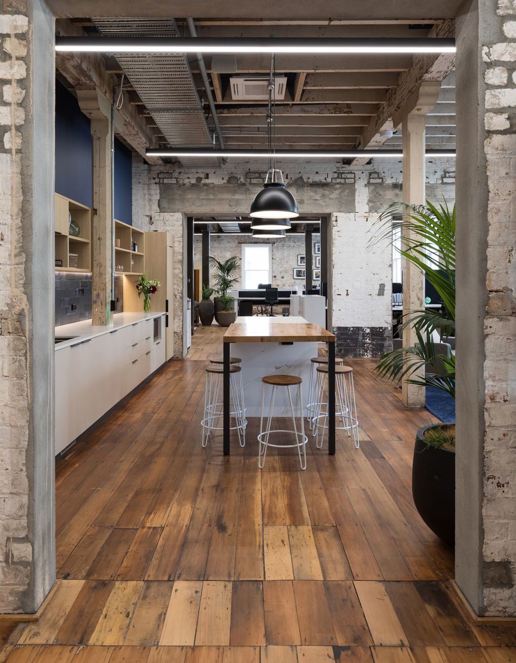 Tailor Inc Office