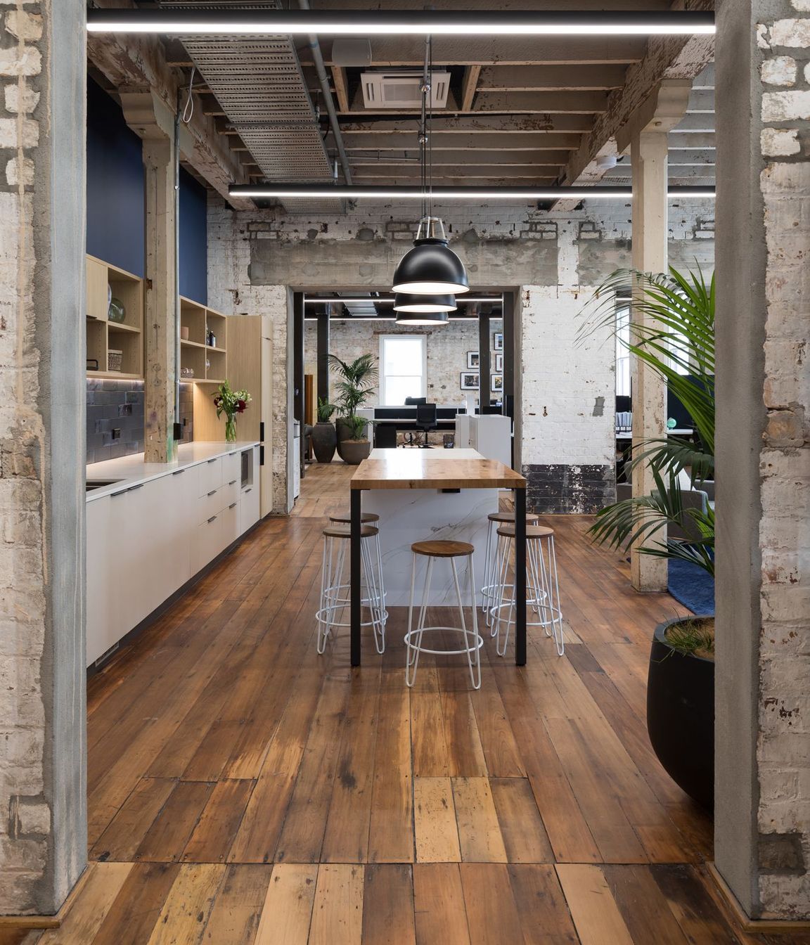Tailor Inc Office