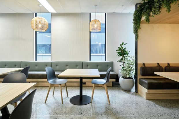 Bright contemporary commercial dining and lounge area with a long sage-green upholstered banquette, small tables, molded chairs, woven pendant lights, terrazzo flooring, and abundant indoor planting. A timber-lined booth with integrated bench seating is visible on the right, with tall windows bringing in daylight.