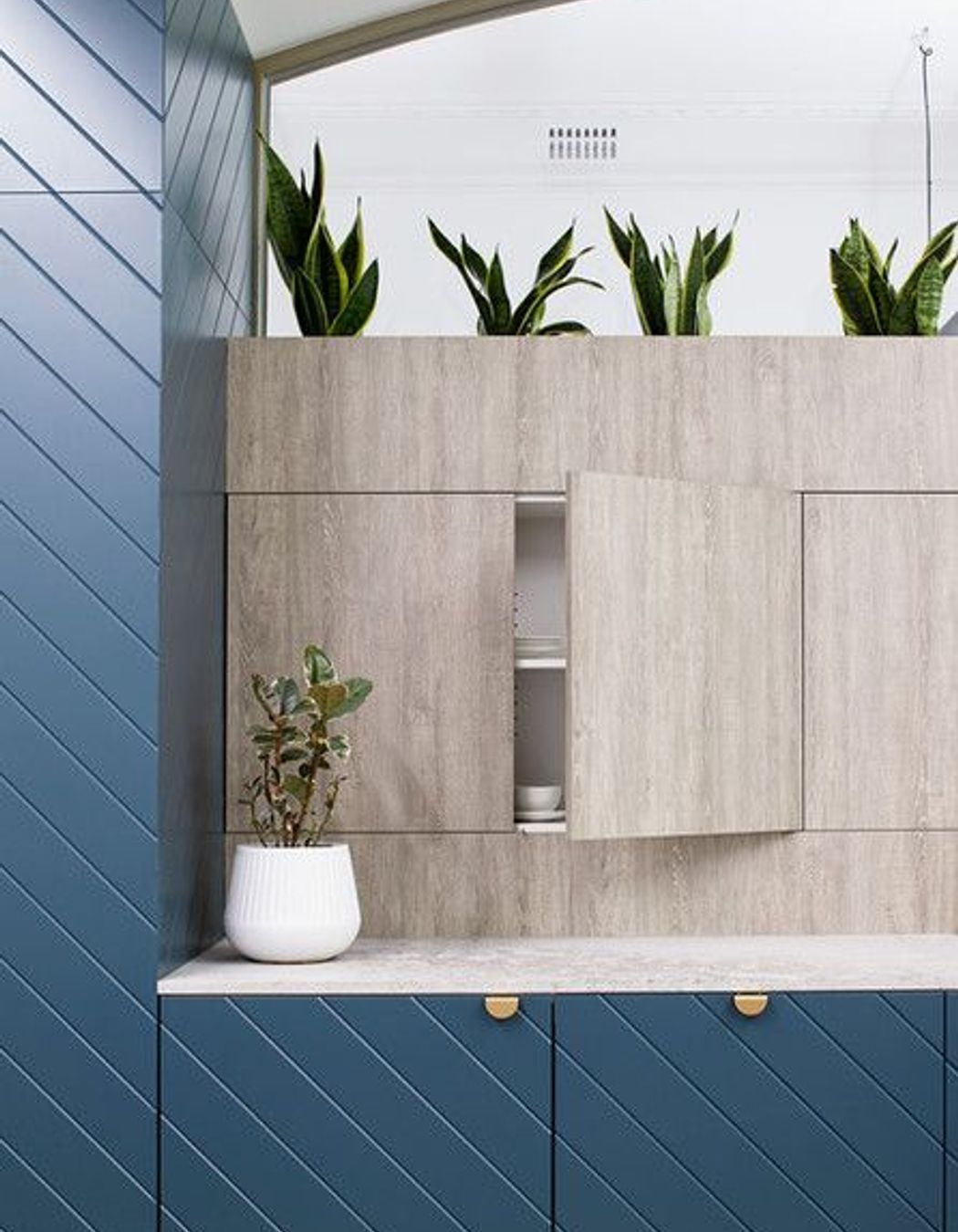 Photography: Shannon McGrath