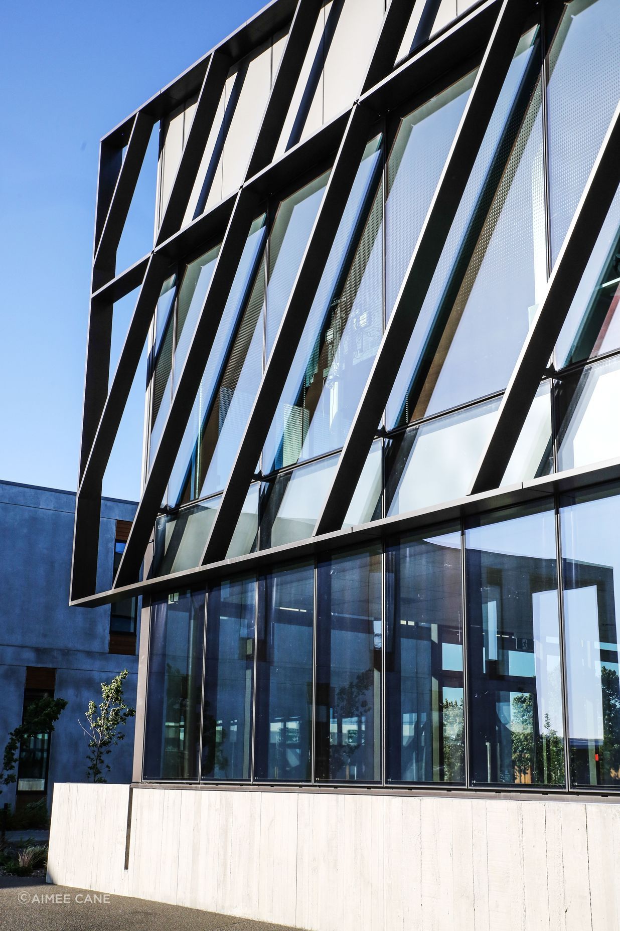 FMG Building
