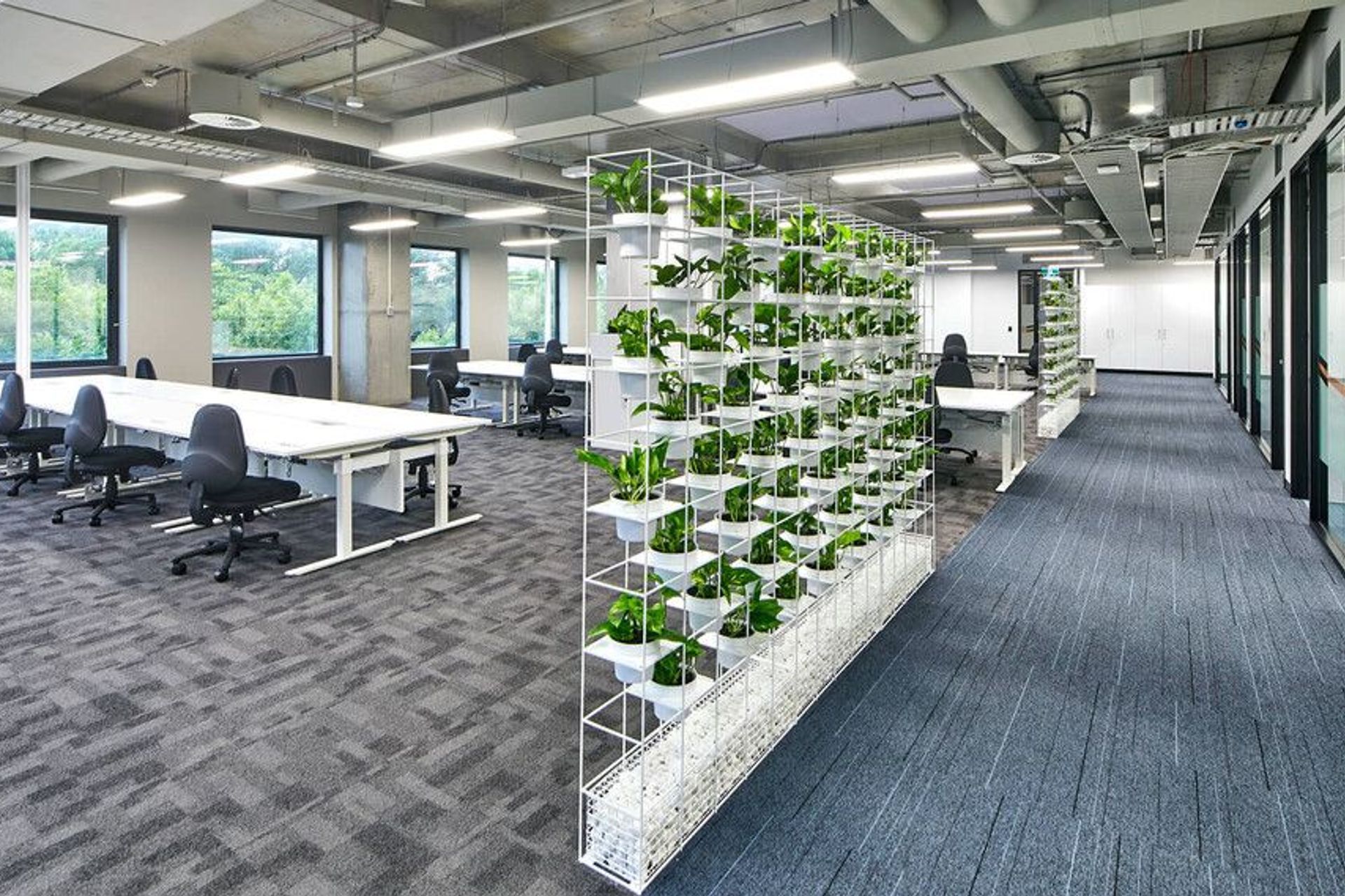 Health Direct Sydney