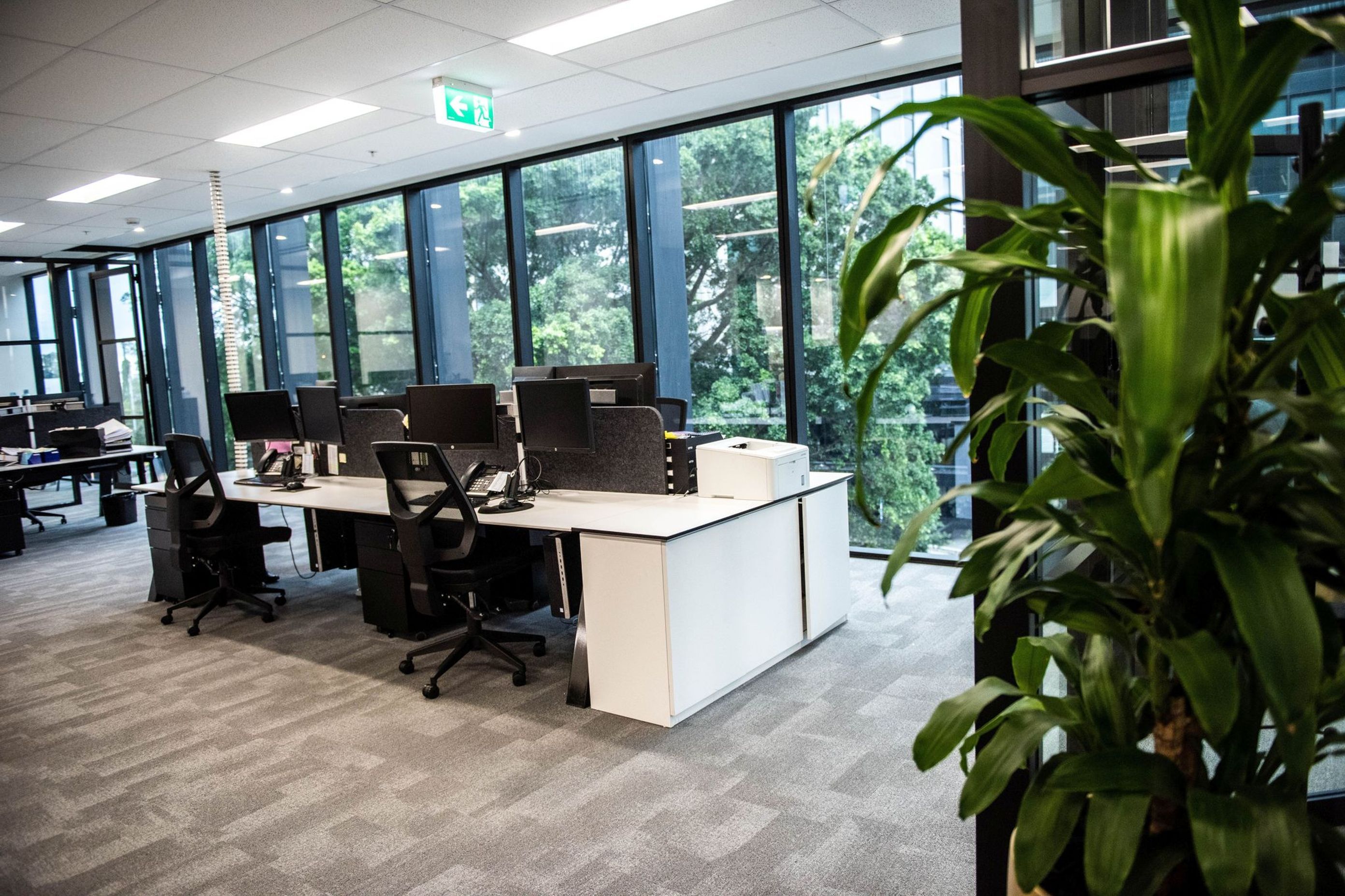 Mascot Office