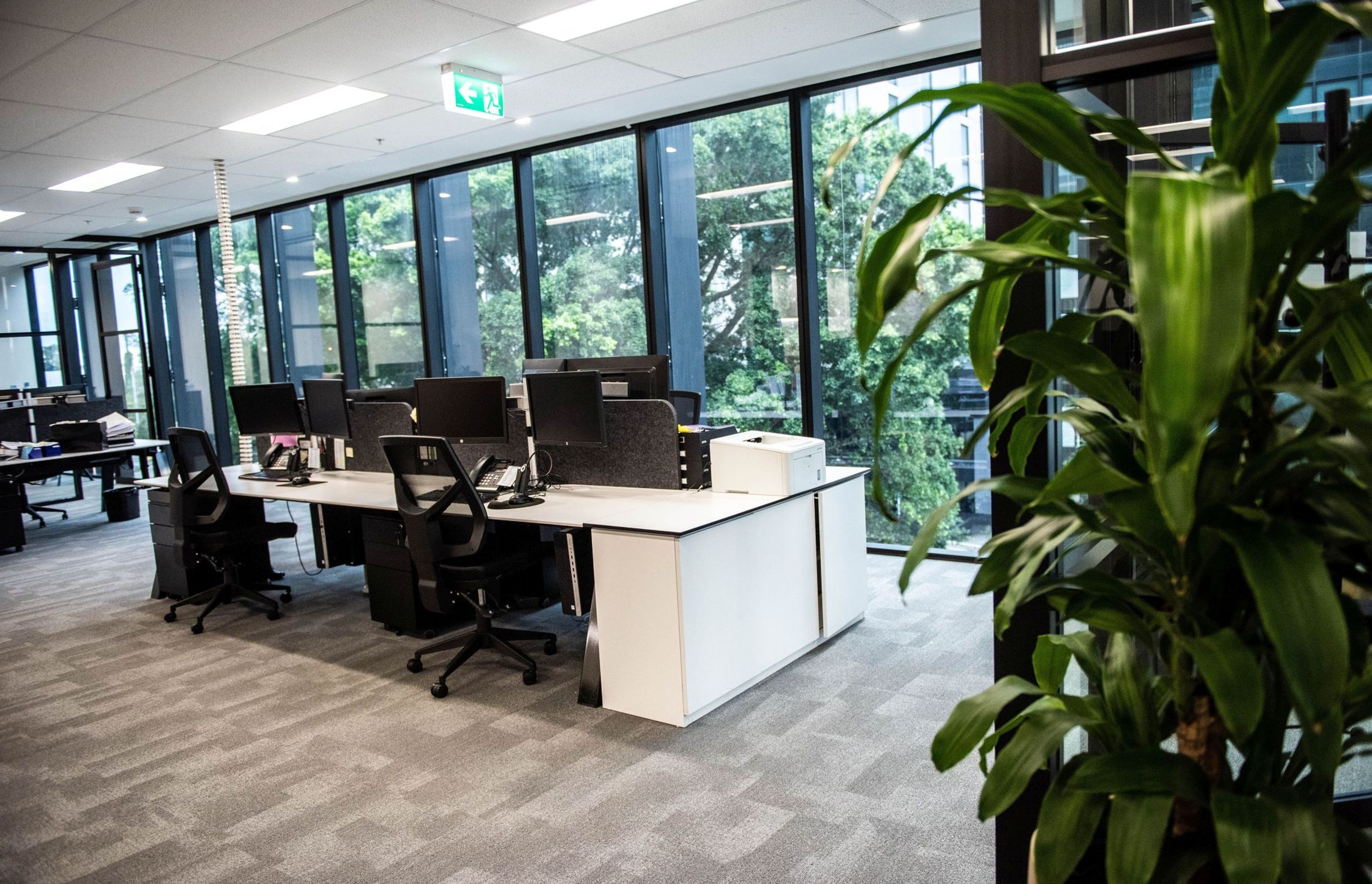 Mascot Office