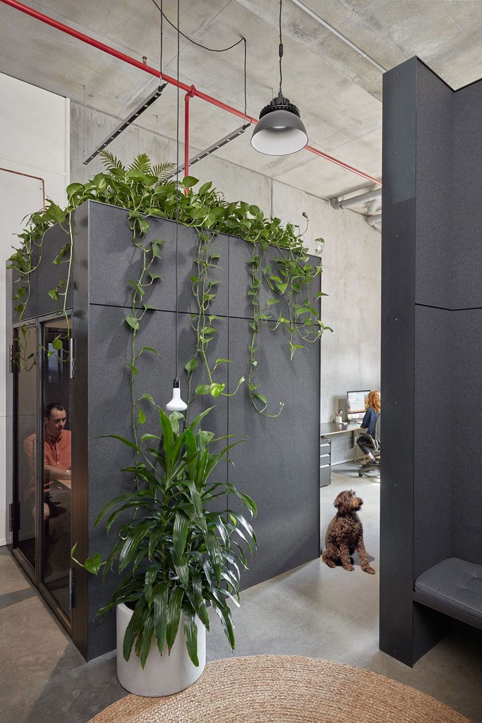 Breathe Offices