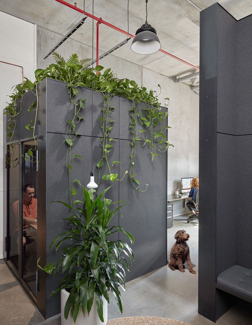 Breathe Offices