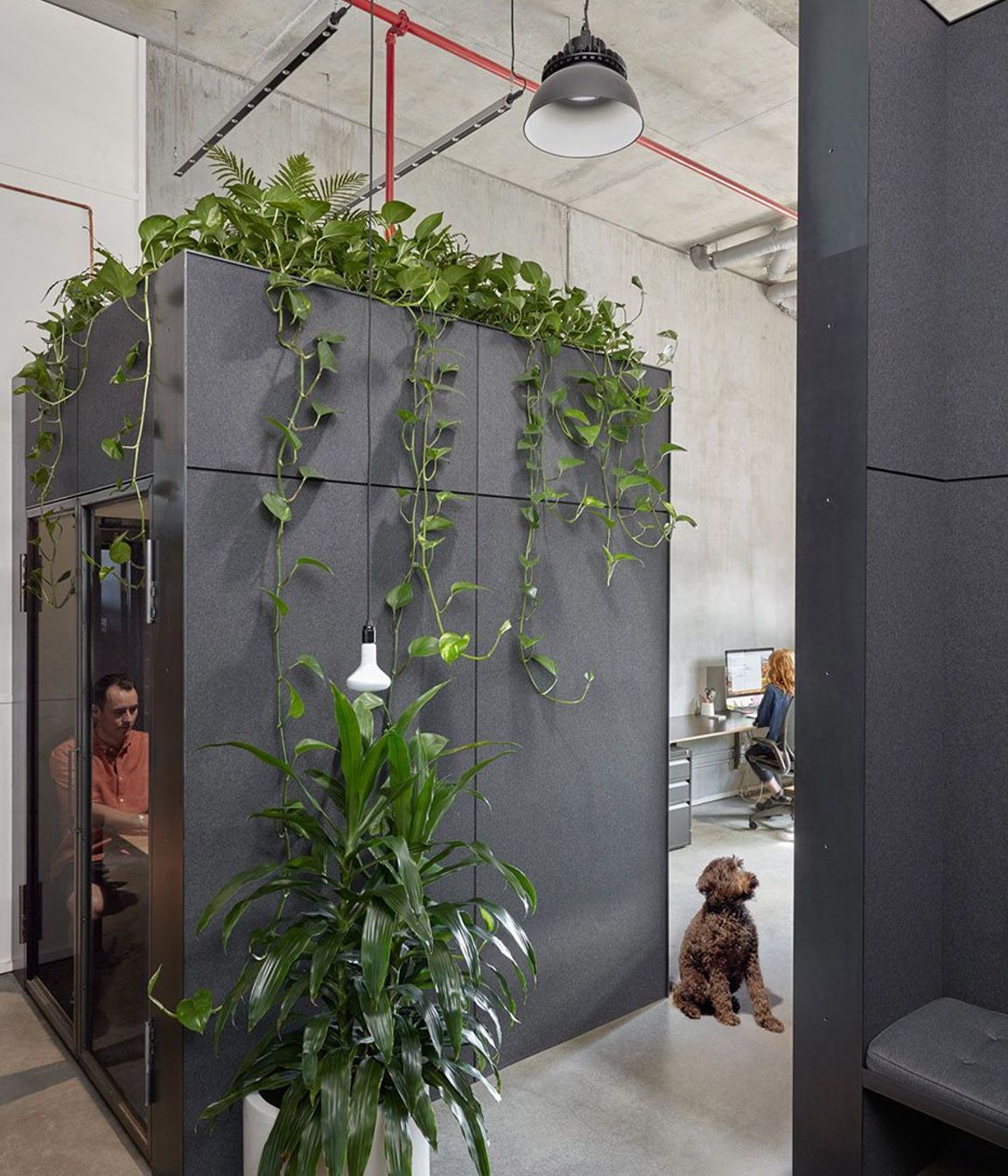 Breathe Offices