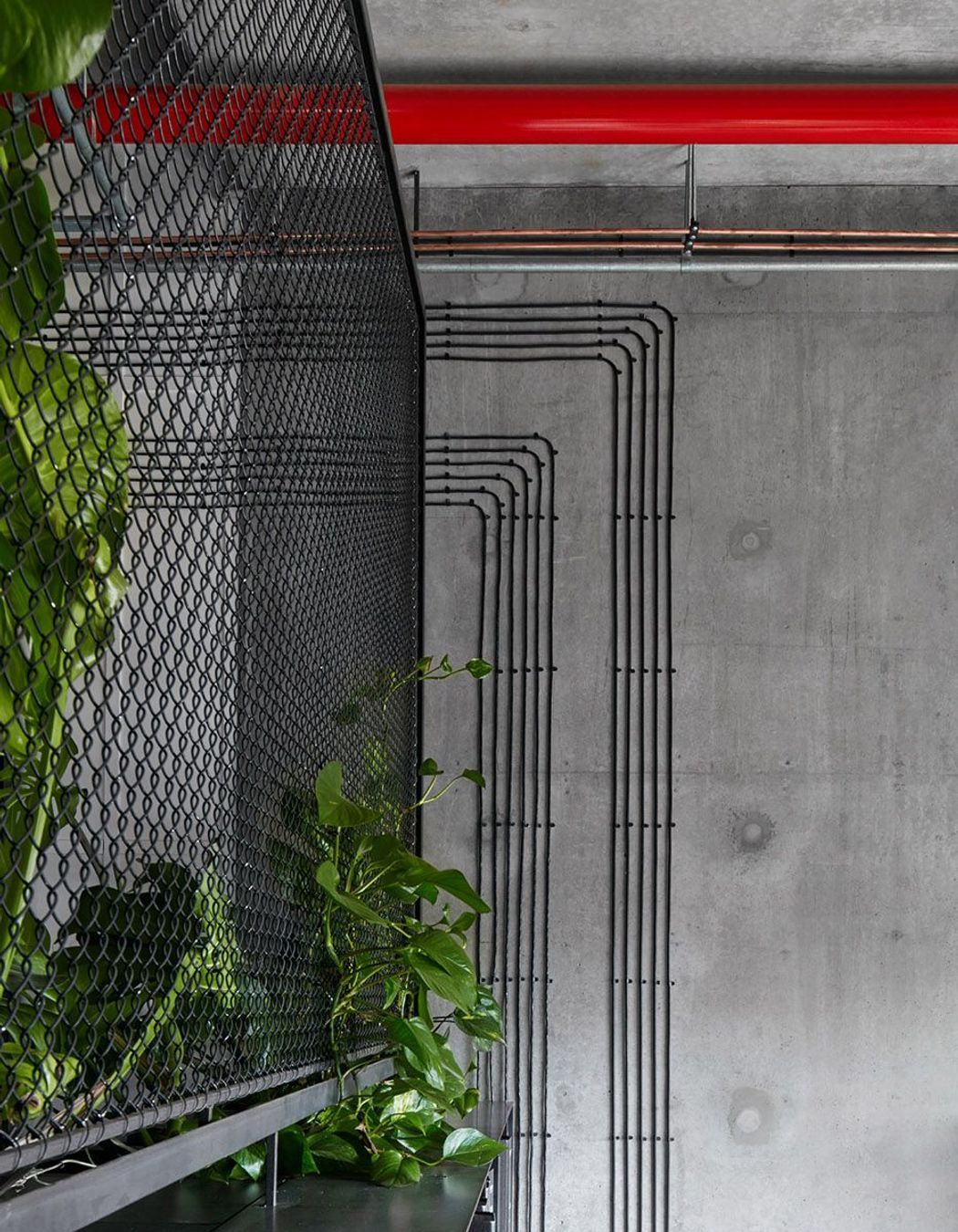 Breathe Offices