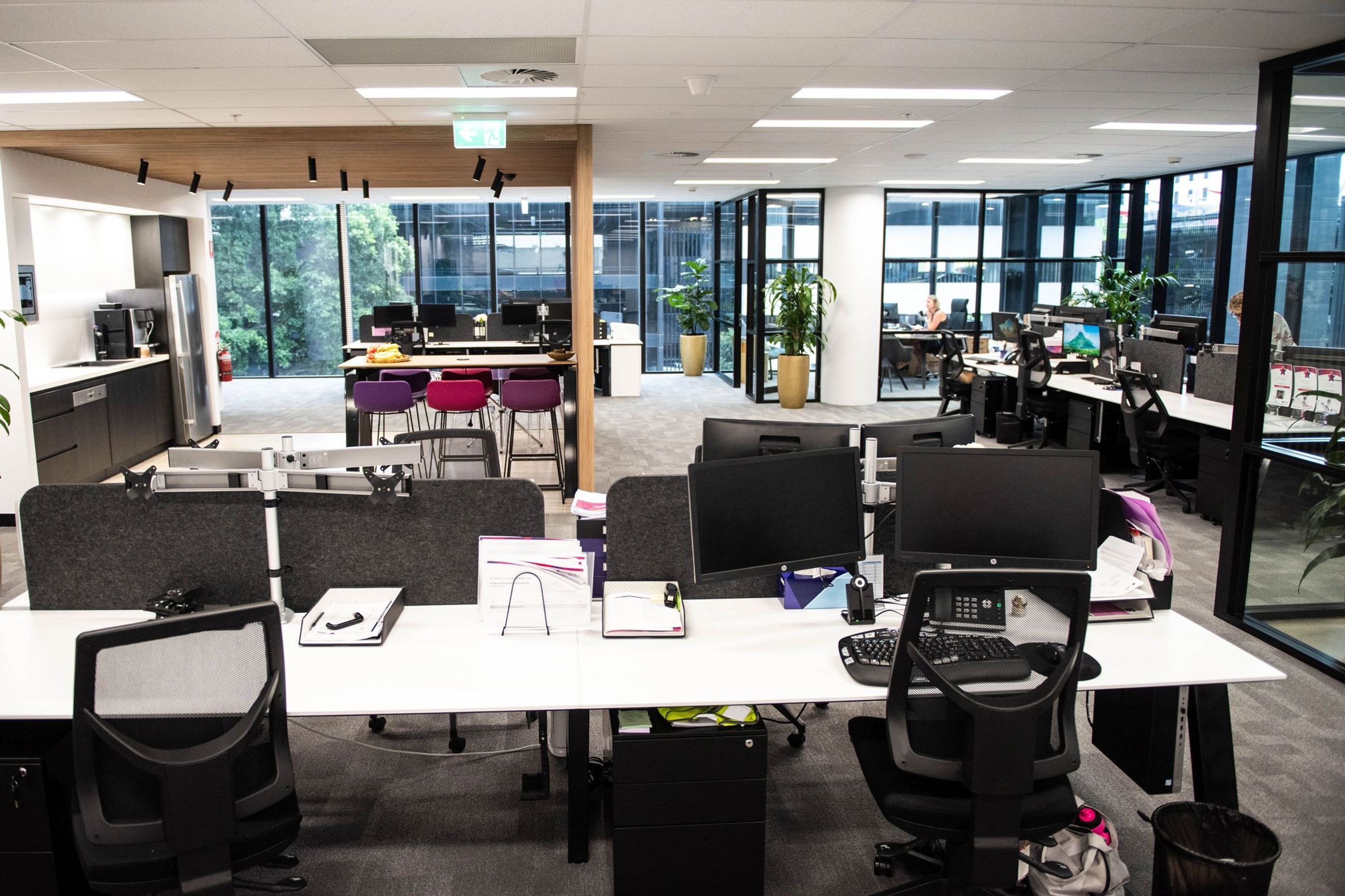 Mascot Office